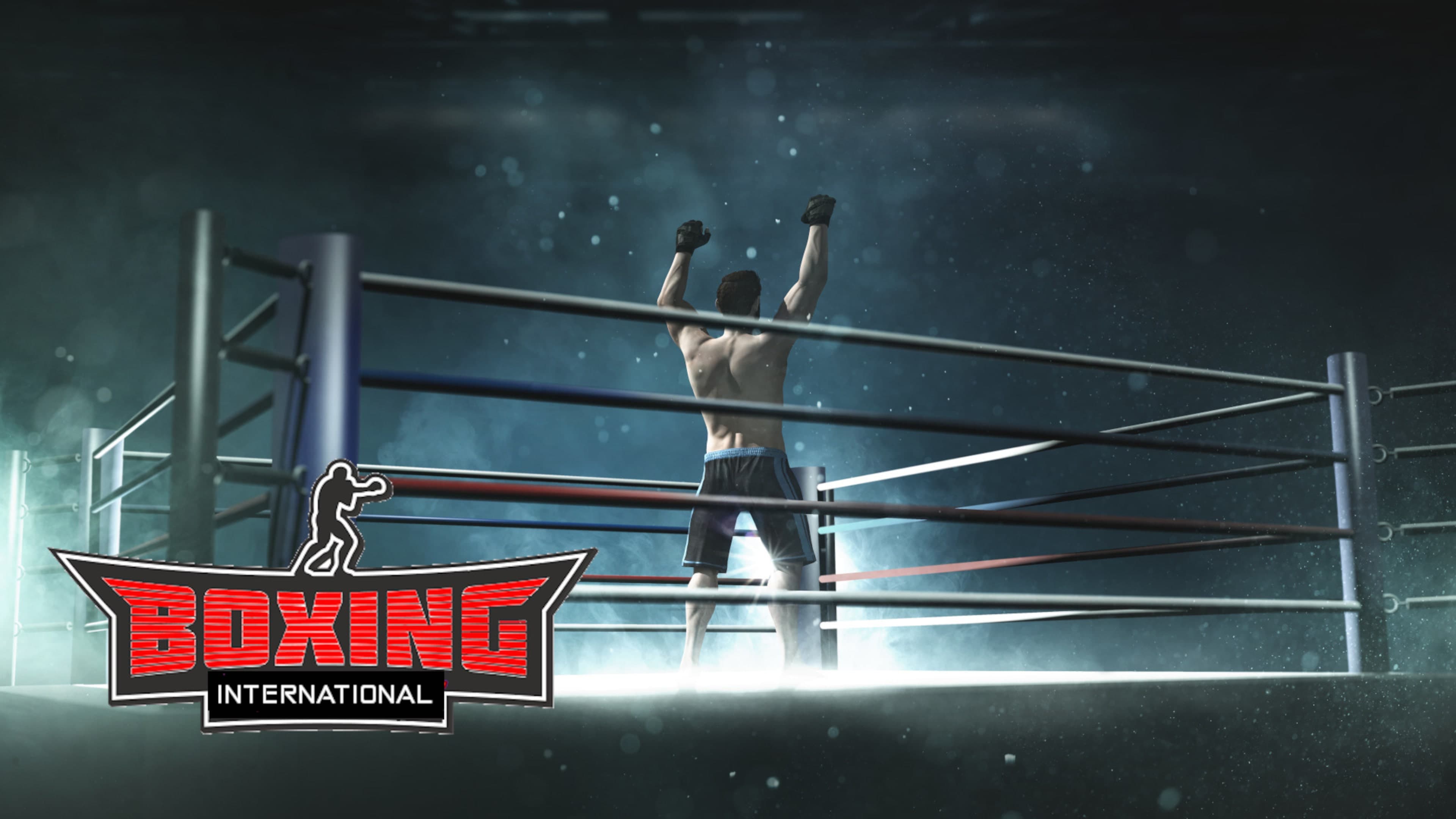 International Boxing International