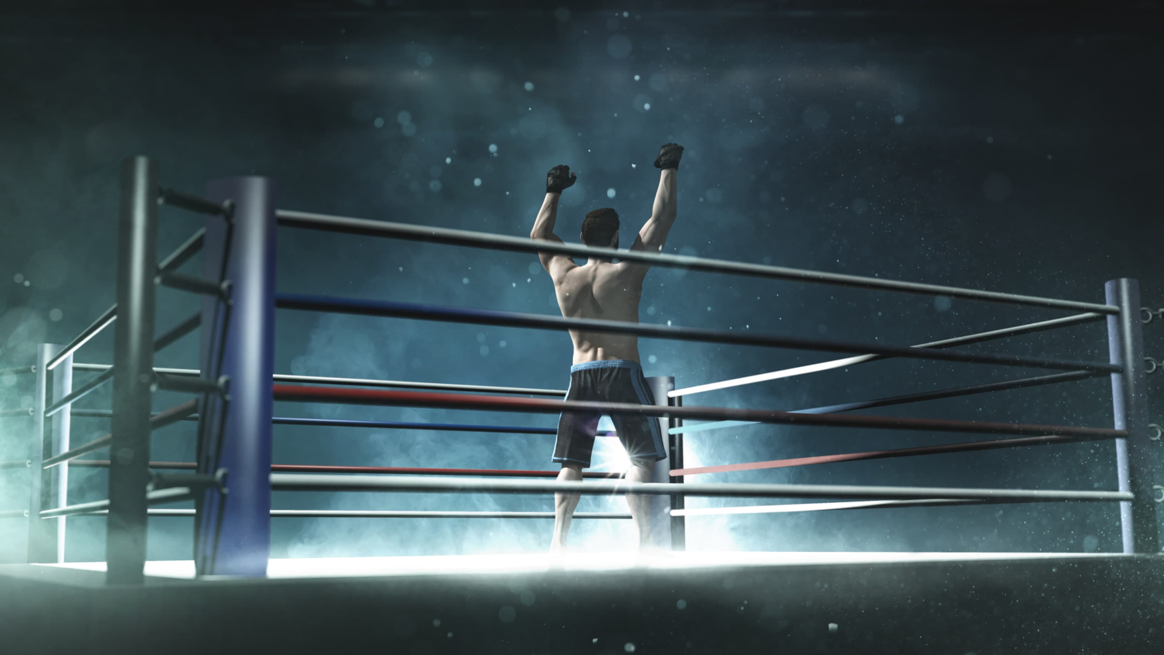 International Boxing Standard