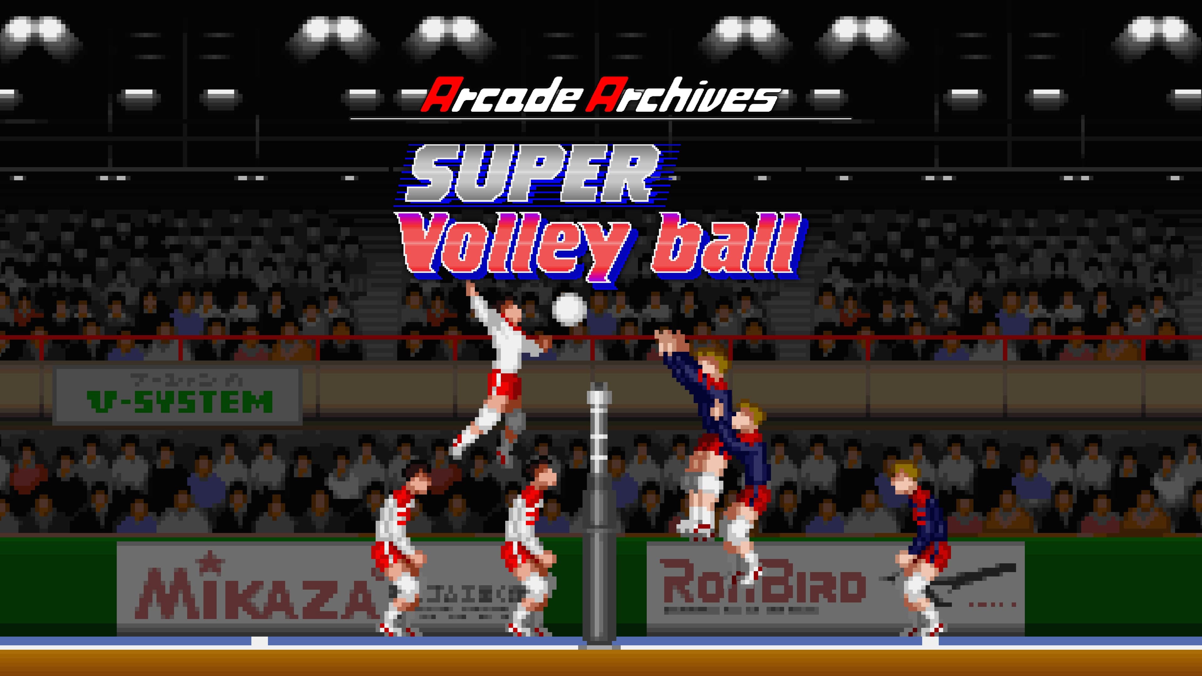 Arcade Archives Super Volleyball Standard