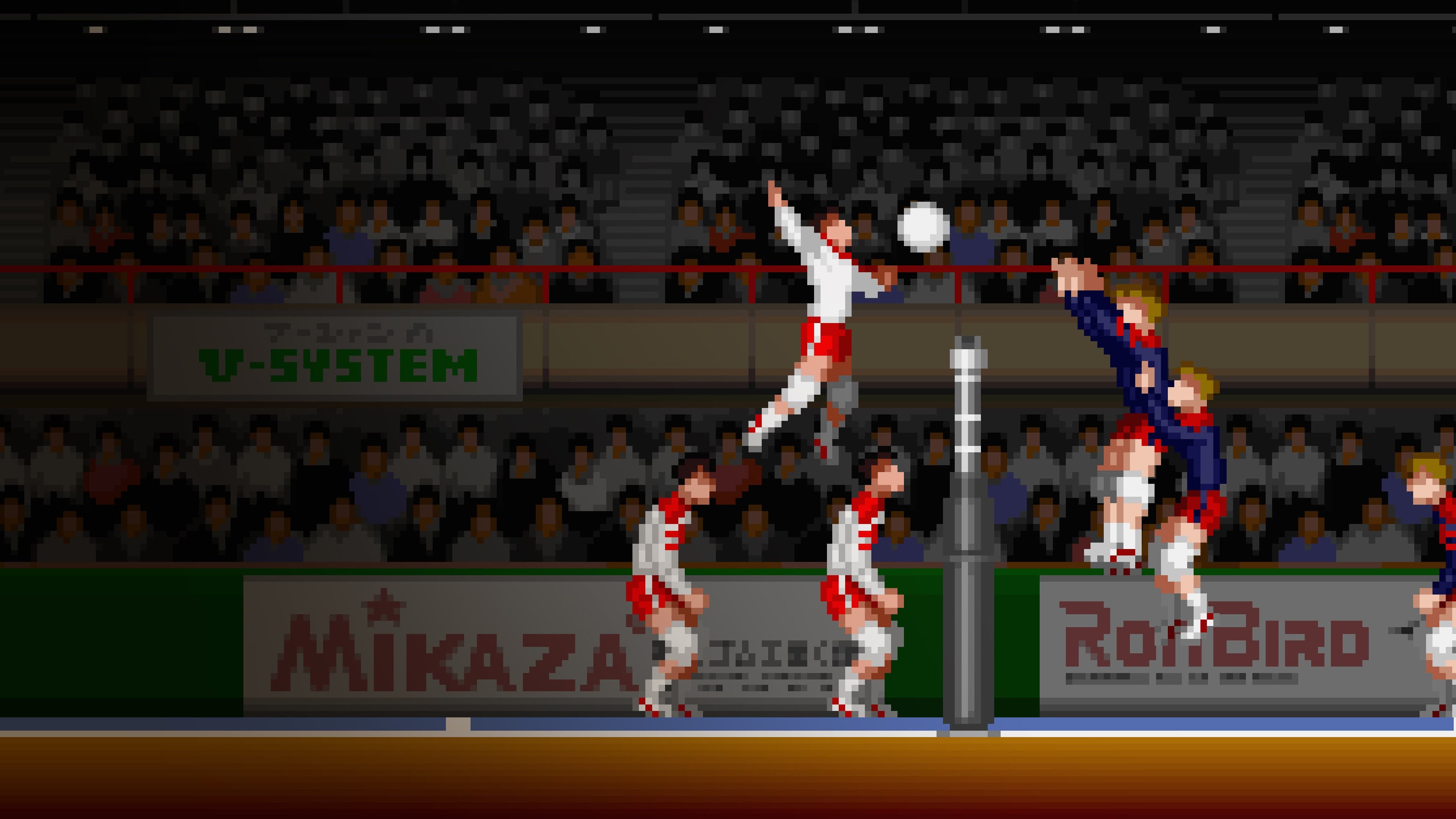 Arcade Archives Super Volleyball Standard
