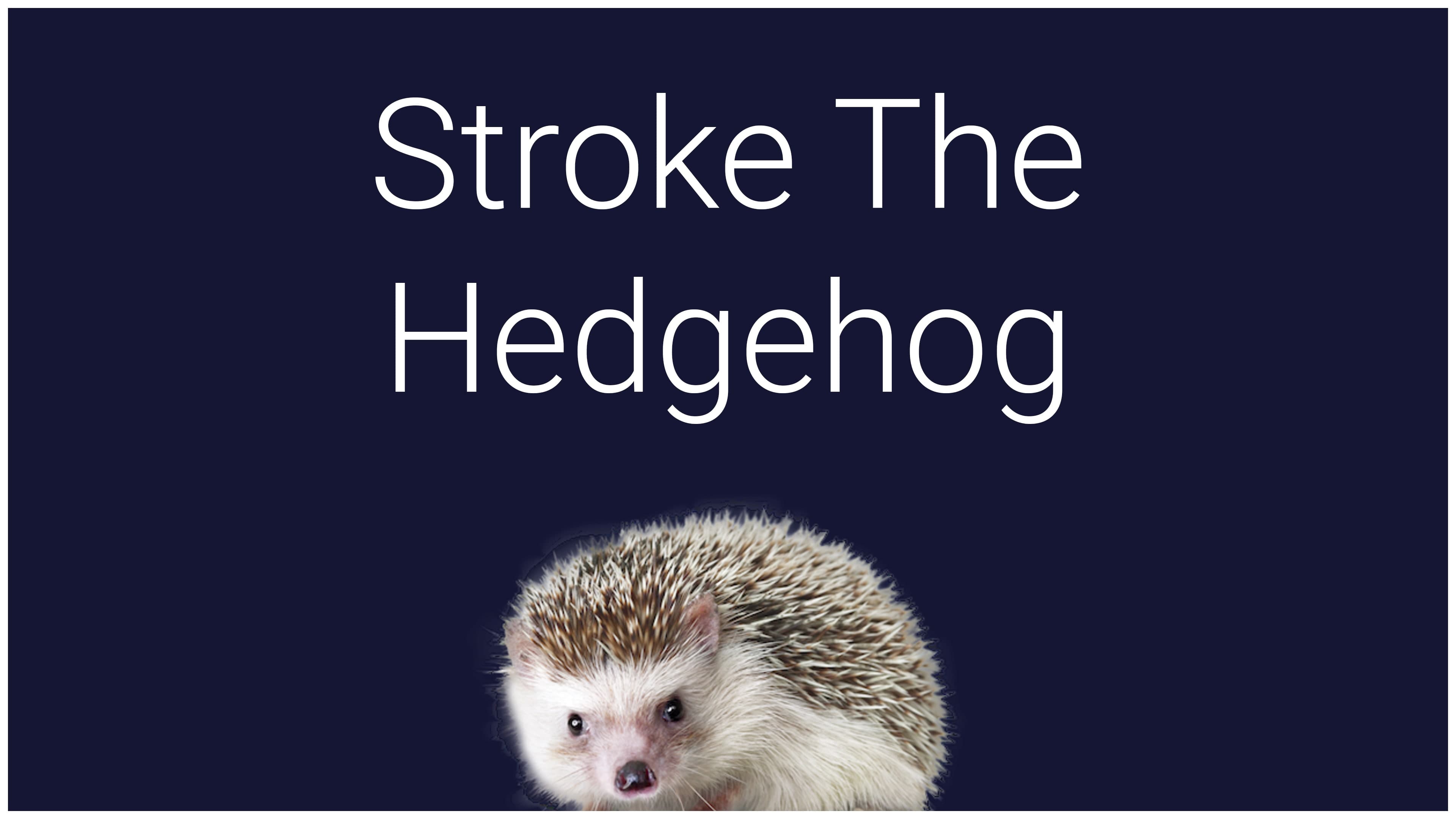 Stroke The Hedgehog Standard