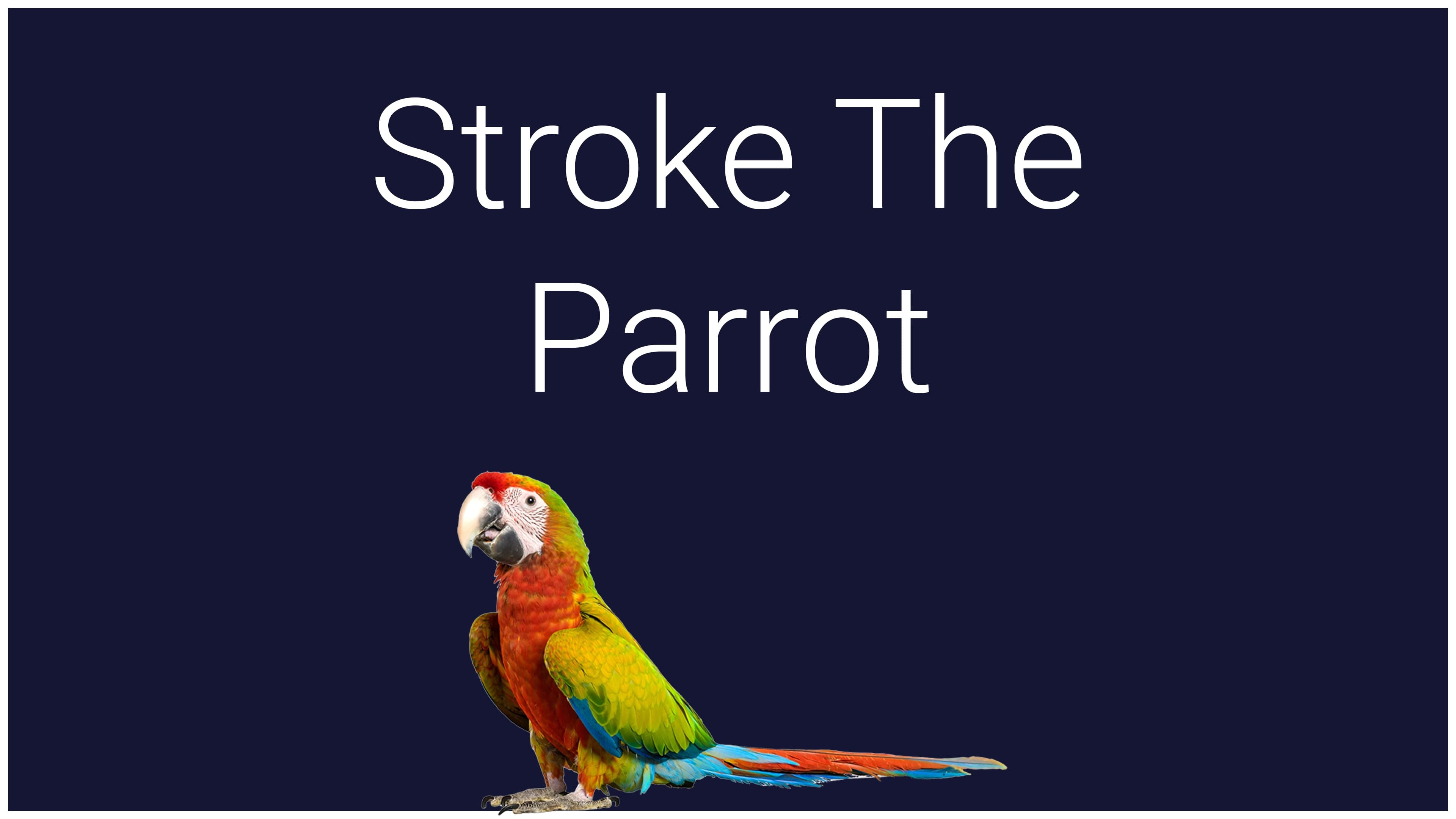 Stroke The Parrot Standard