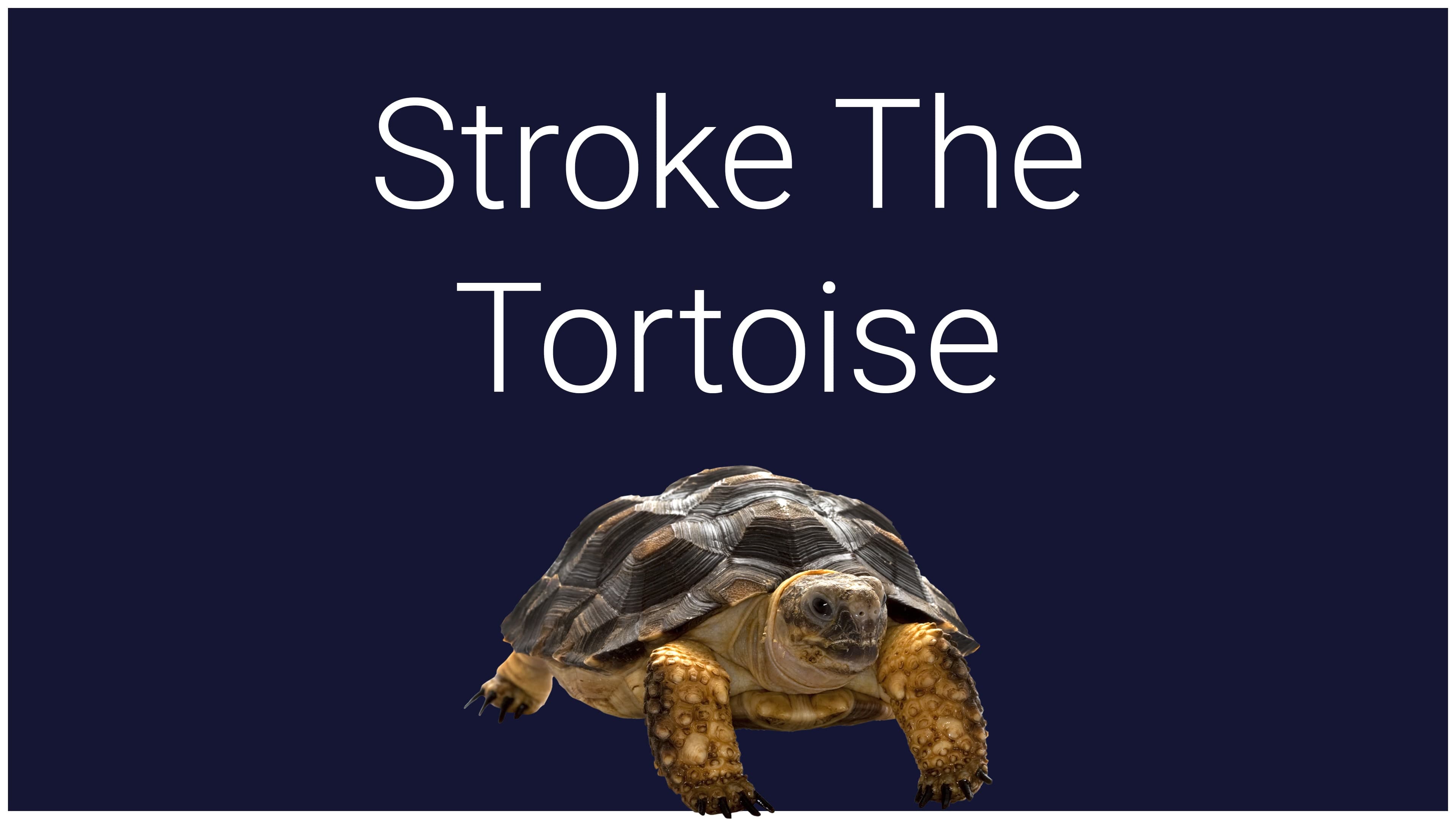 Stroke The Tortoise: скриншот 1