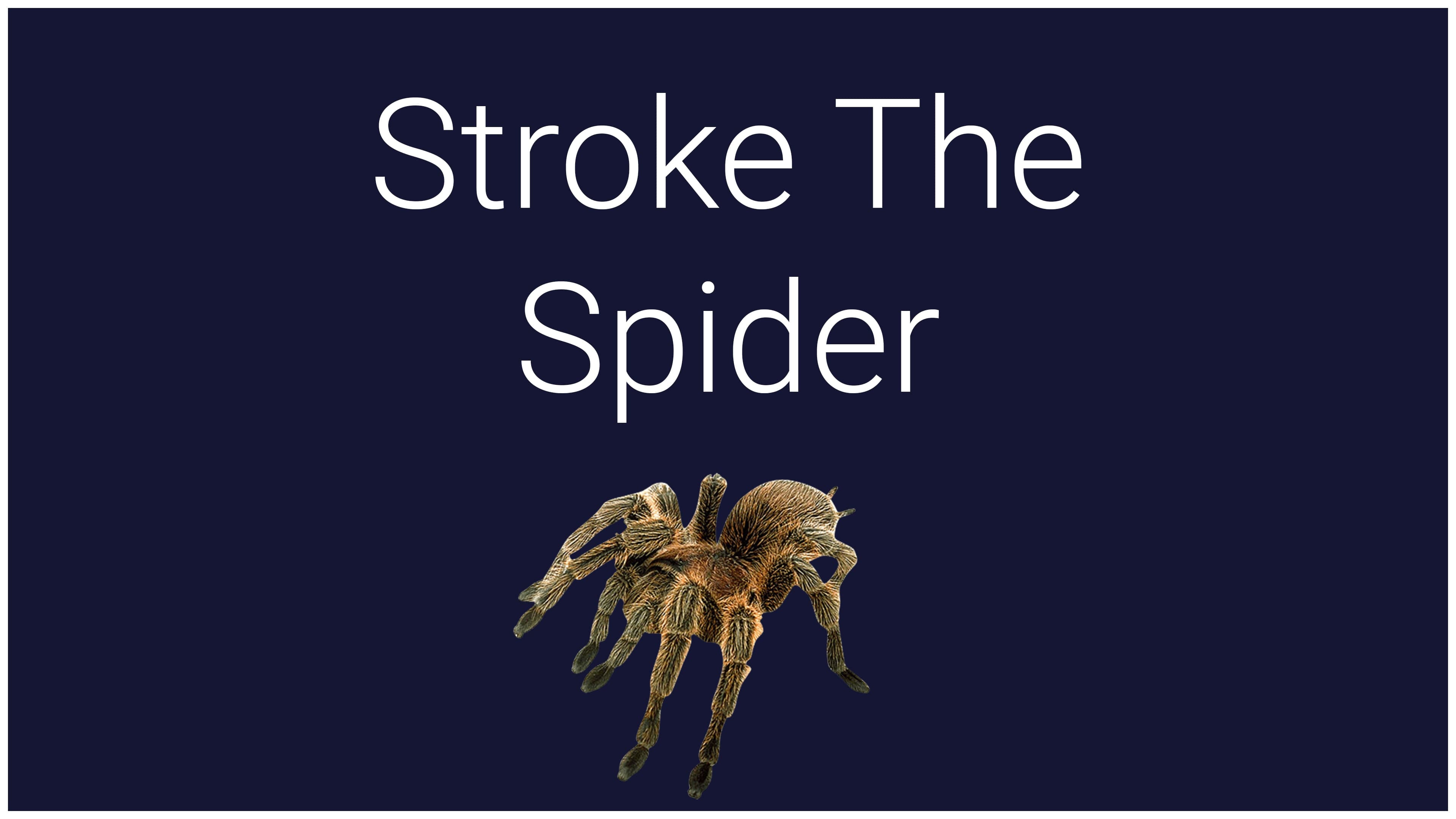 Stroke The Spider Standard