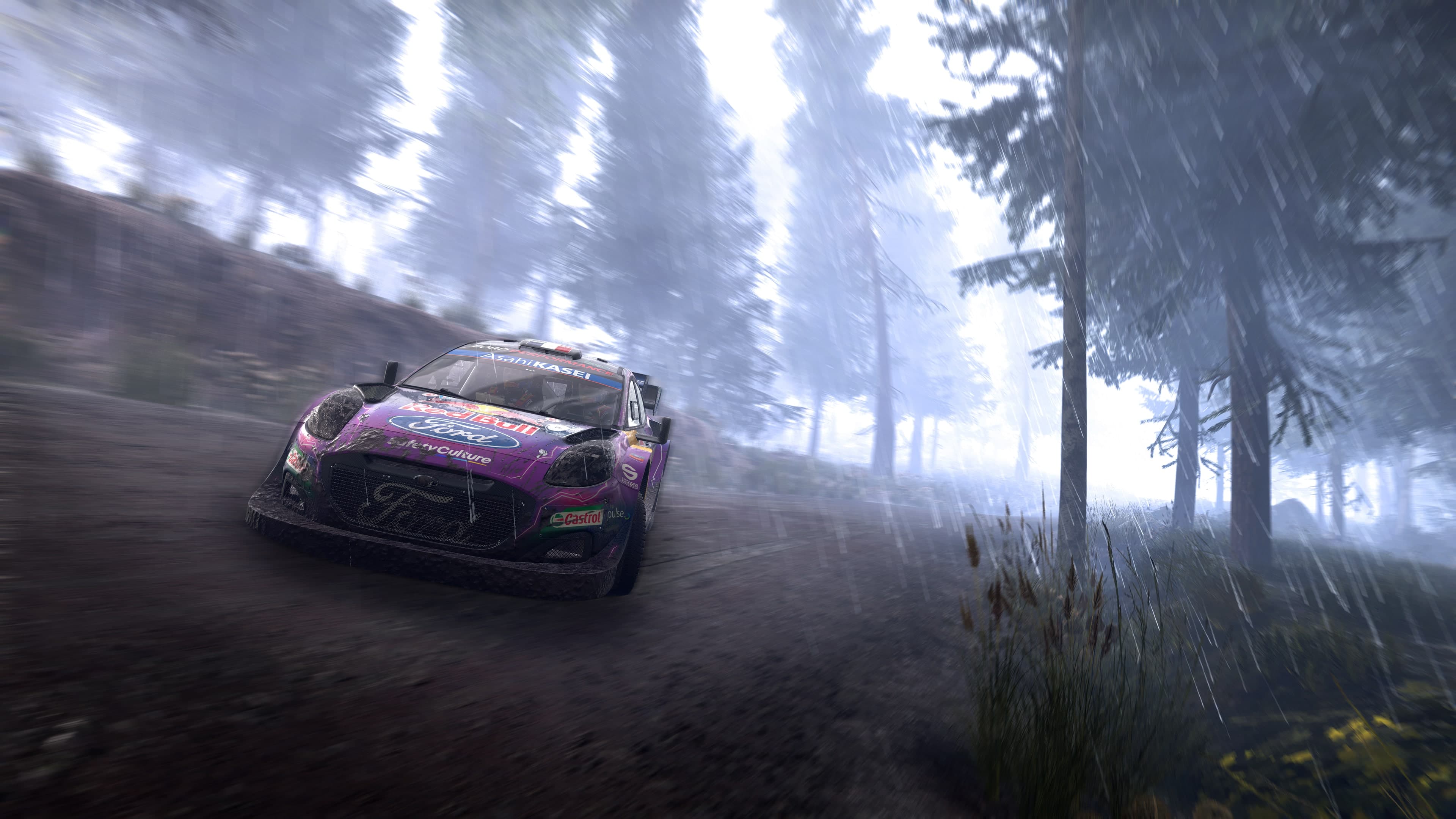 WRC Generations - The FIA WRC Official Game: скриншот 2
