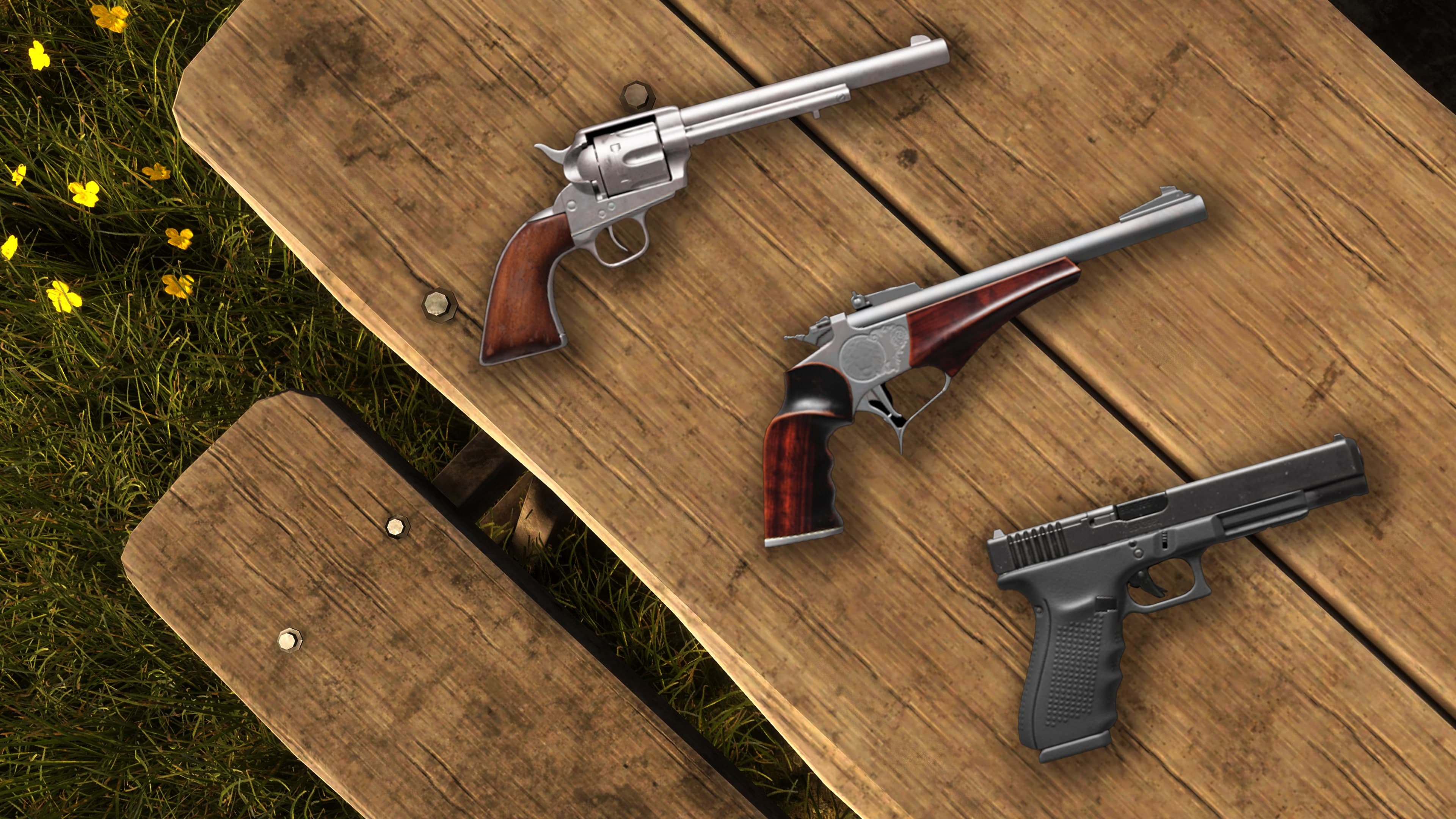 theHunter: Call of the Wild - Assorted Sidearms Pack Addon