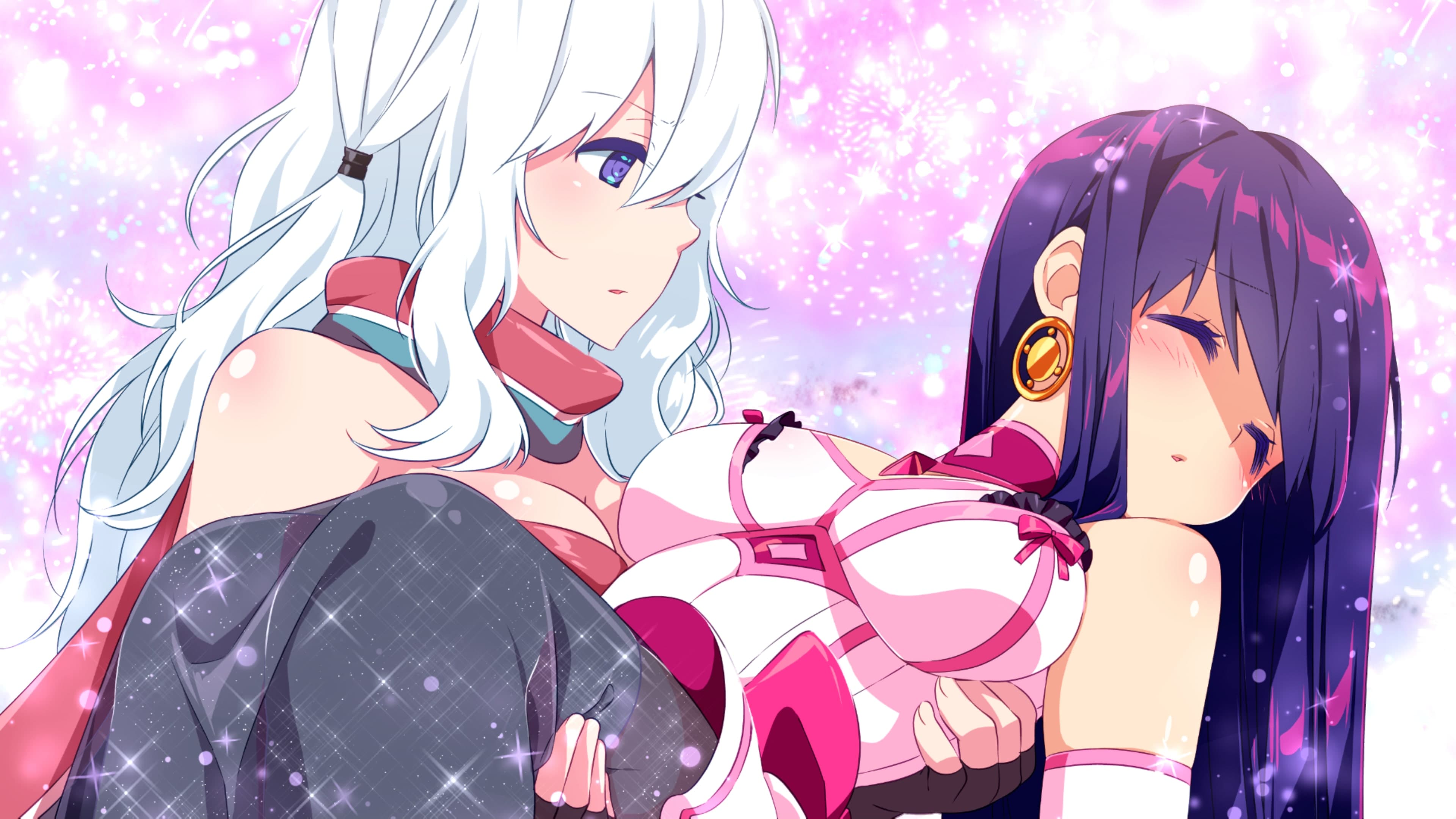 Sakura MMO 2 Standard