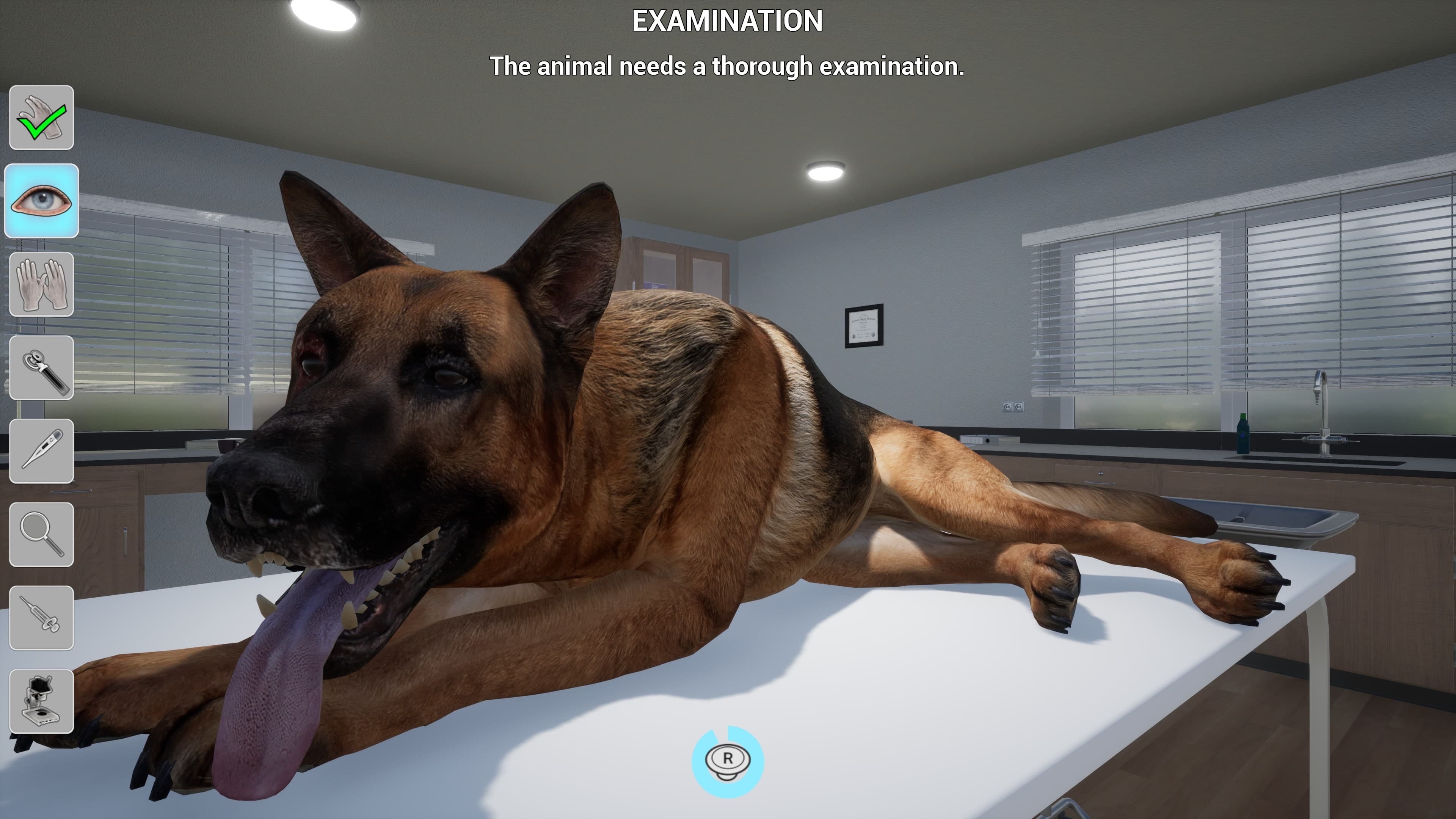 My Life: Pet Vet: скриншот 2