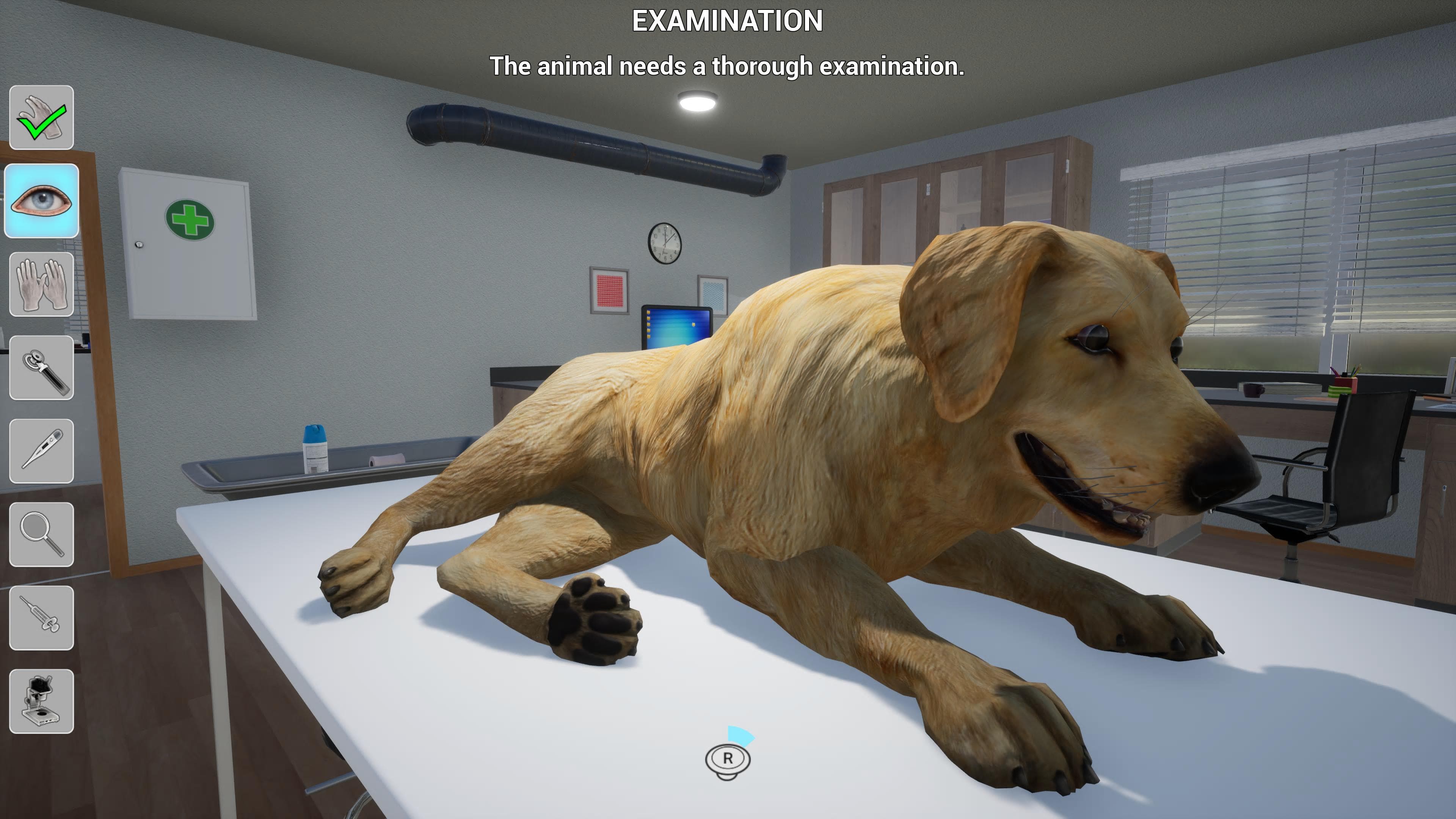 My Life: Pet Vet: скриншот 5