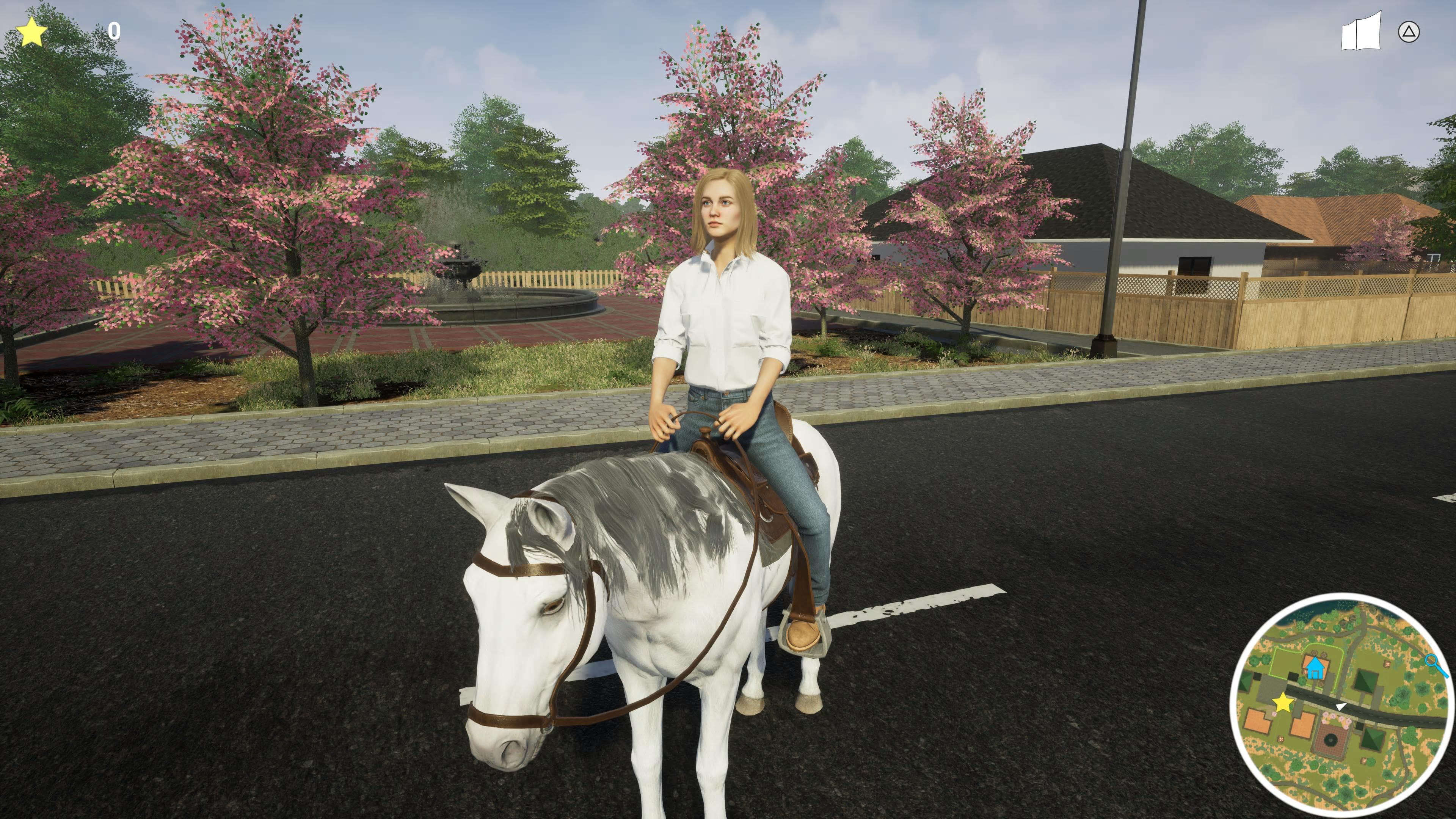 My Life: Pet Vet: скриншот 6