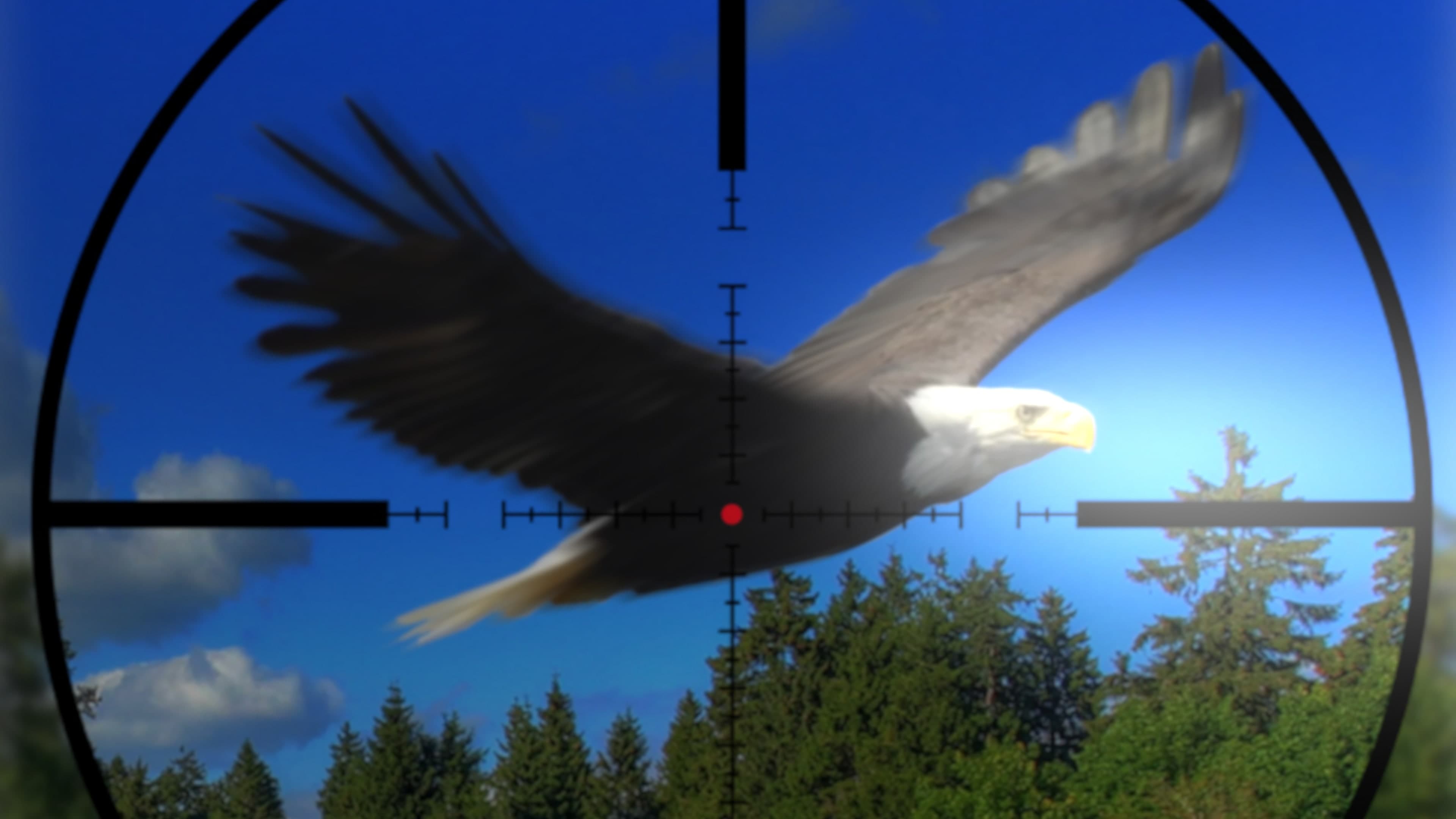 America Wild Hunting Standard