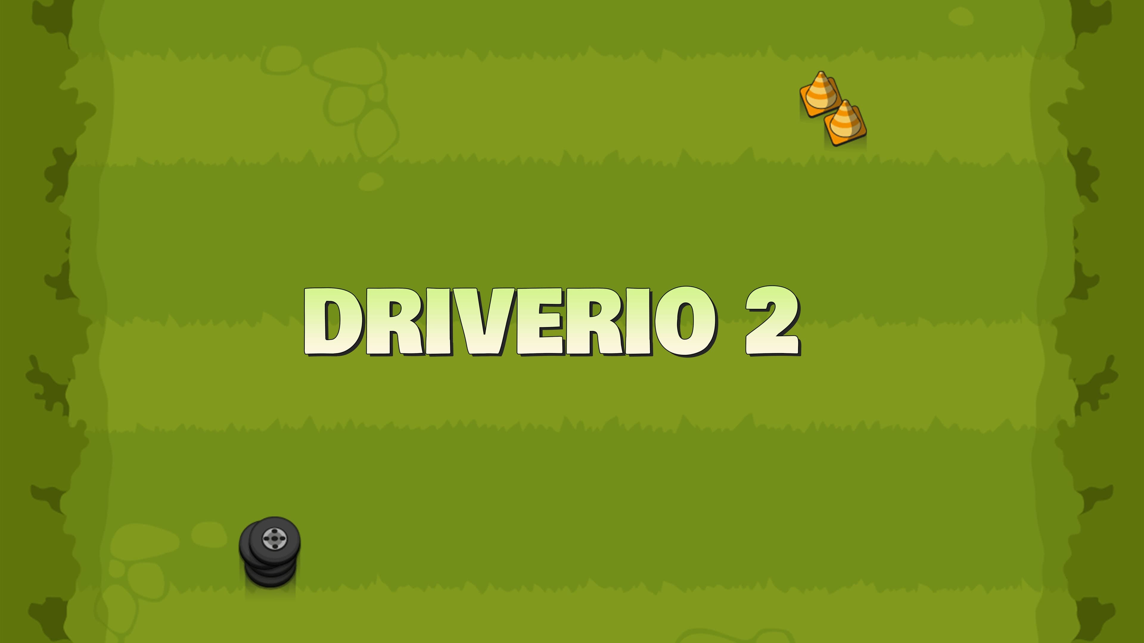 Driverio 2 Standard