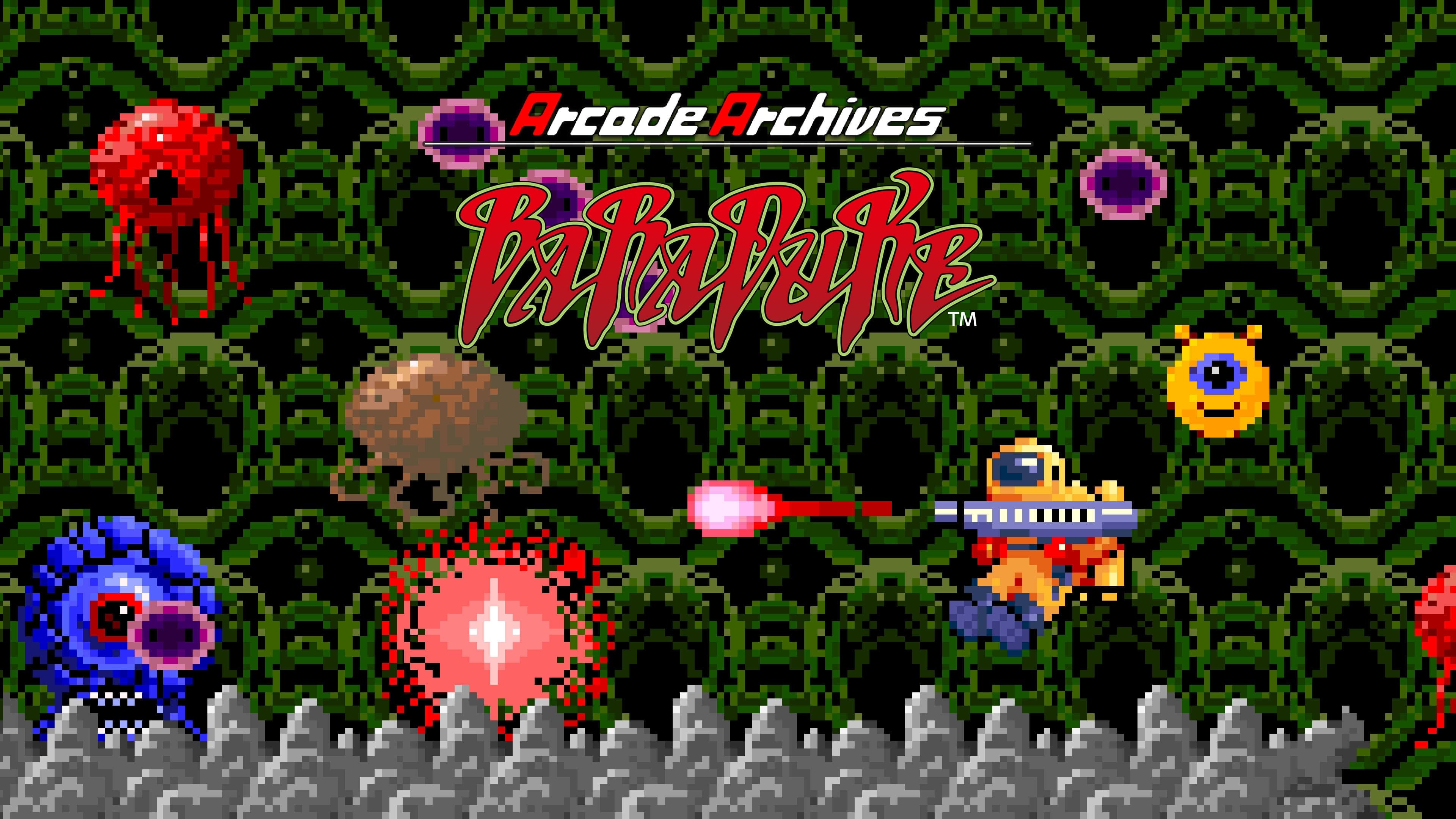 Arcade Archives BARADUKE Standard