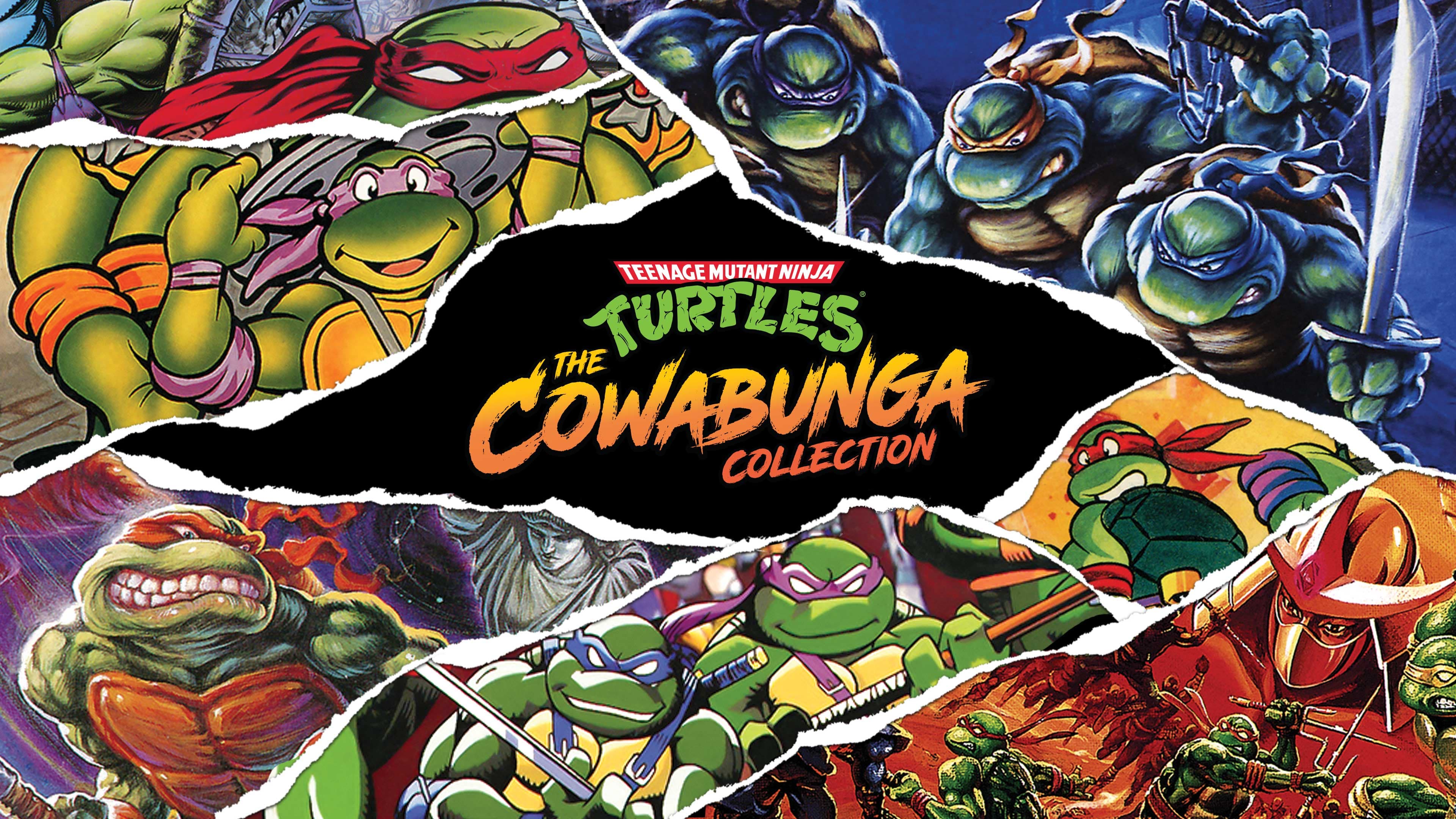 Teenage Mutant Ninja Turtles: The Cowabunga Collection Standard