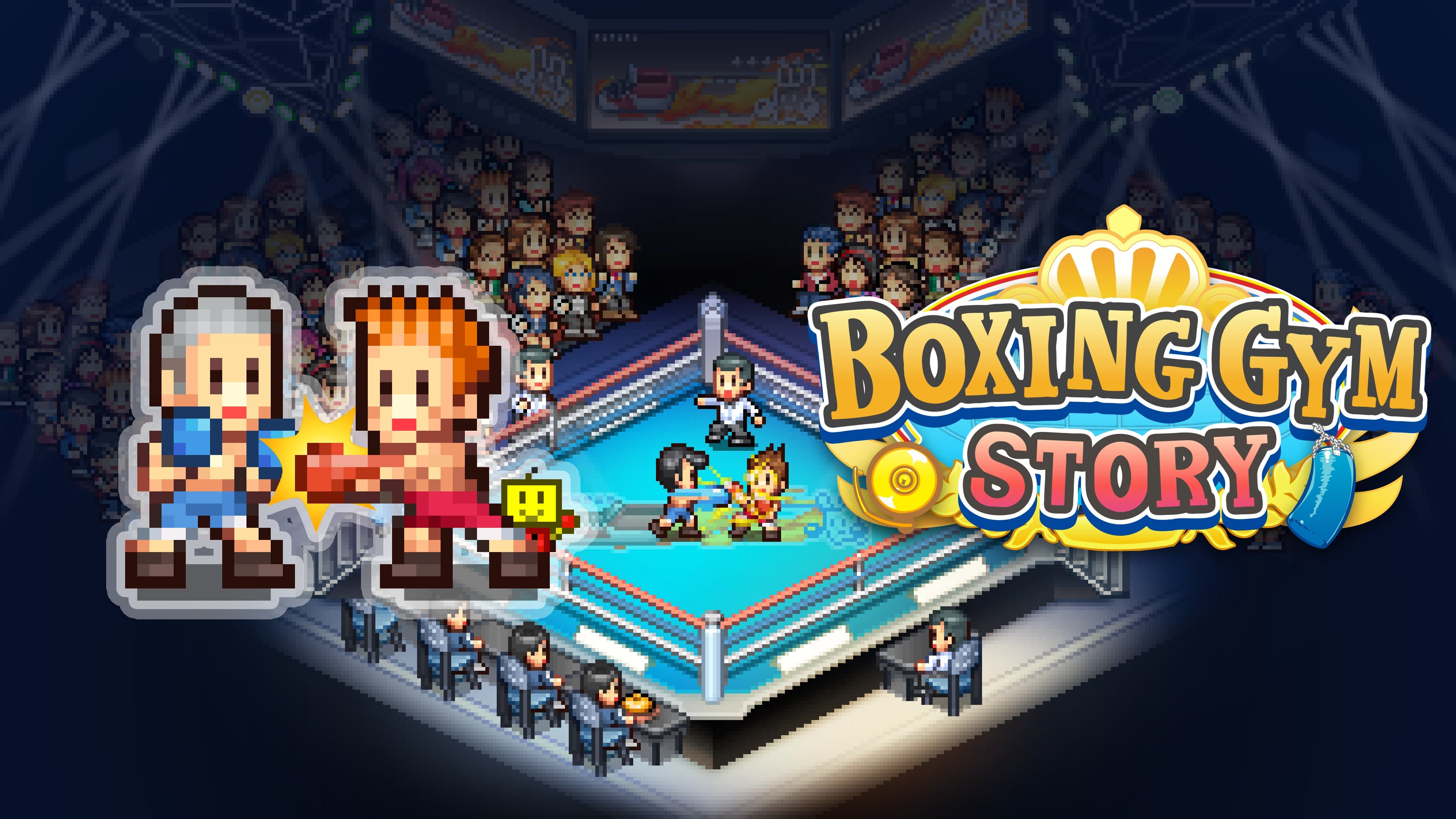 Boxing Gym Story Standard