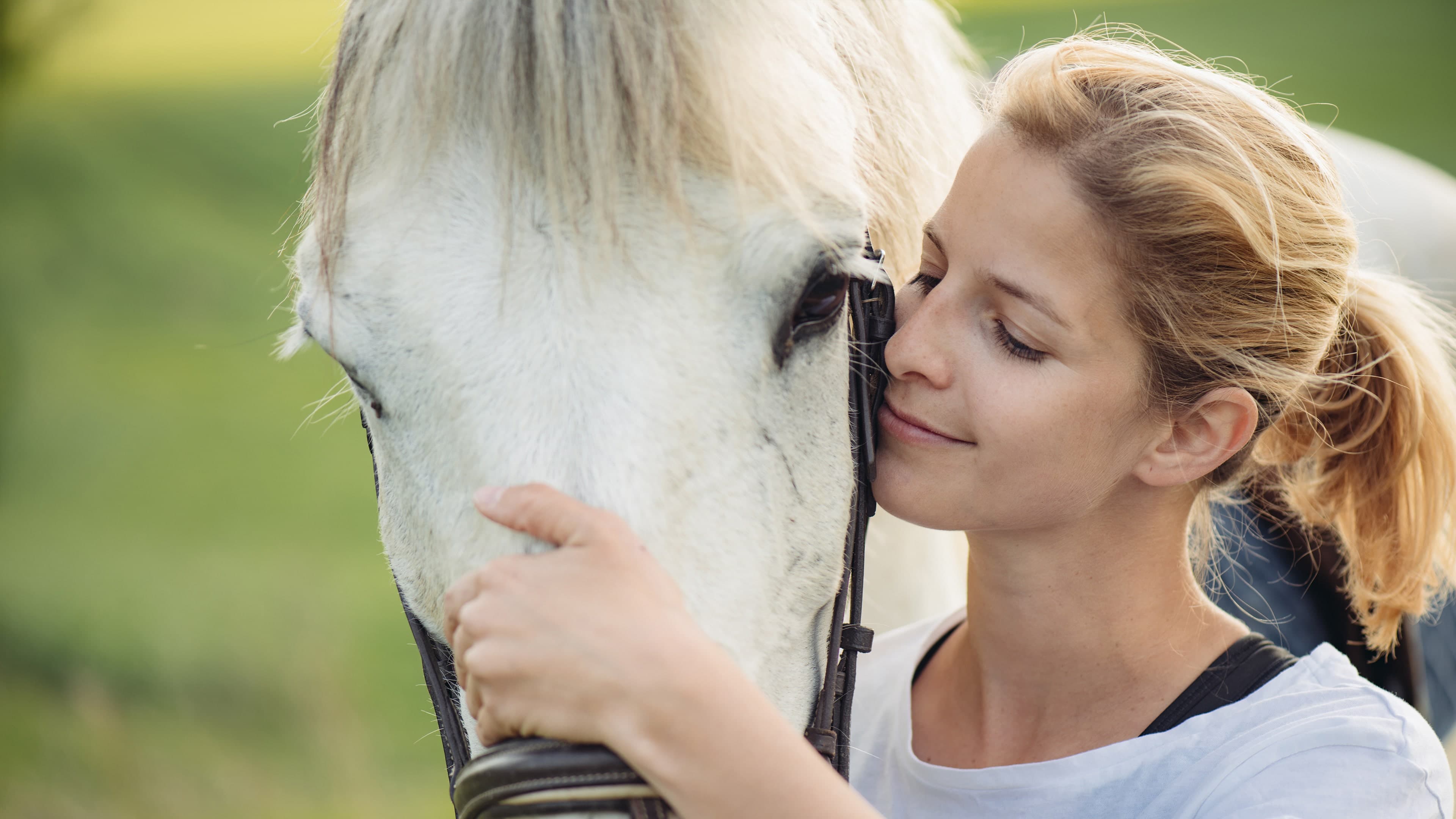 Living with Horses: My Horse Farm Standard