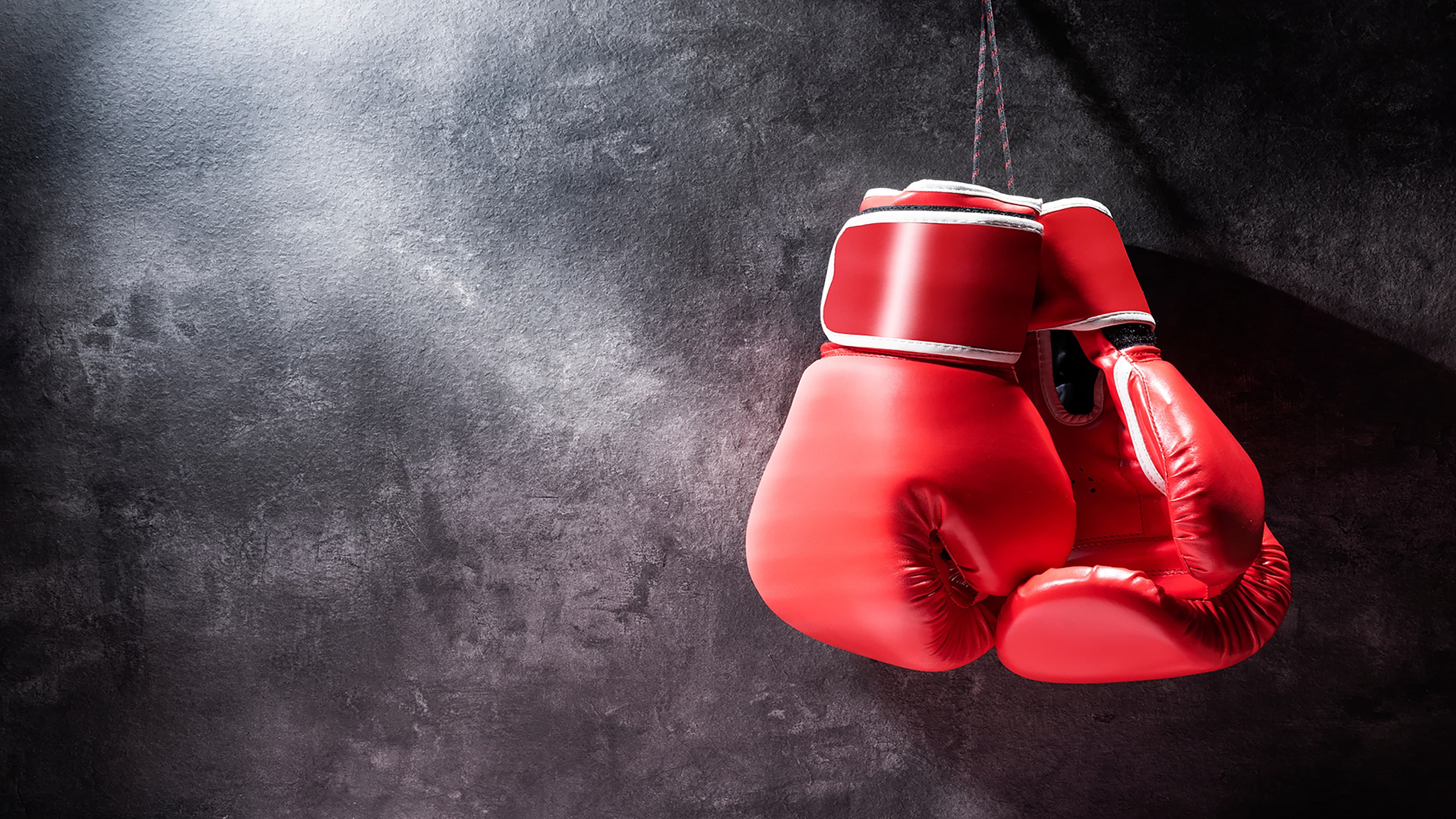 Boxer Standard