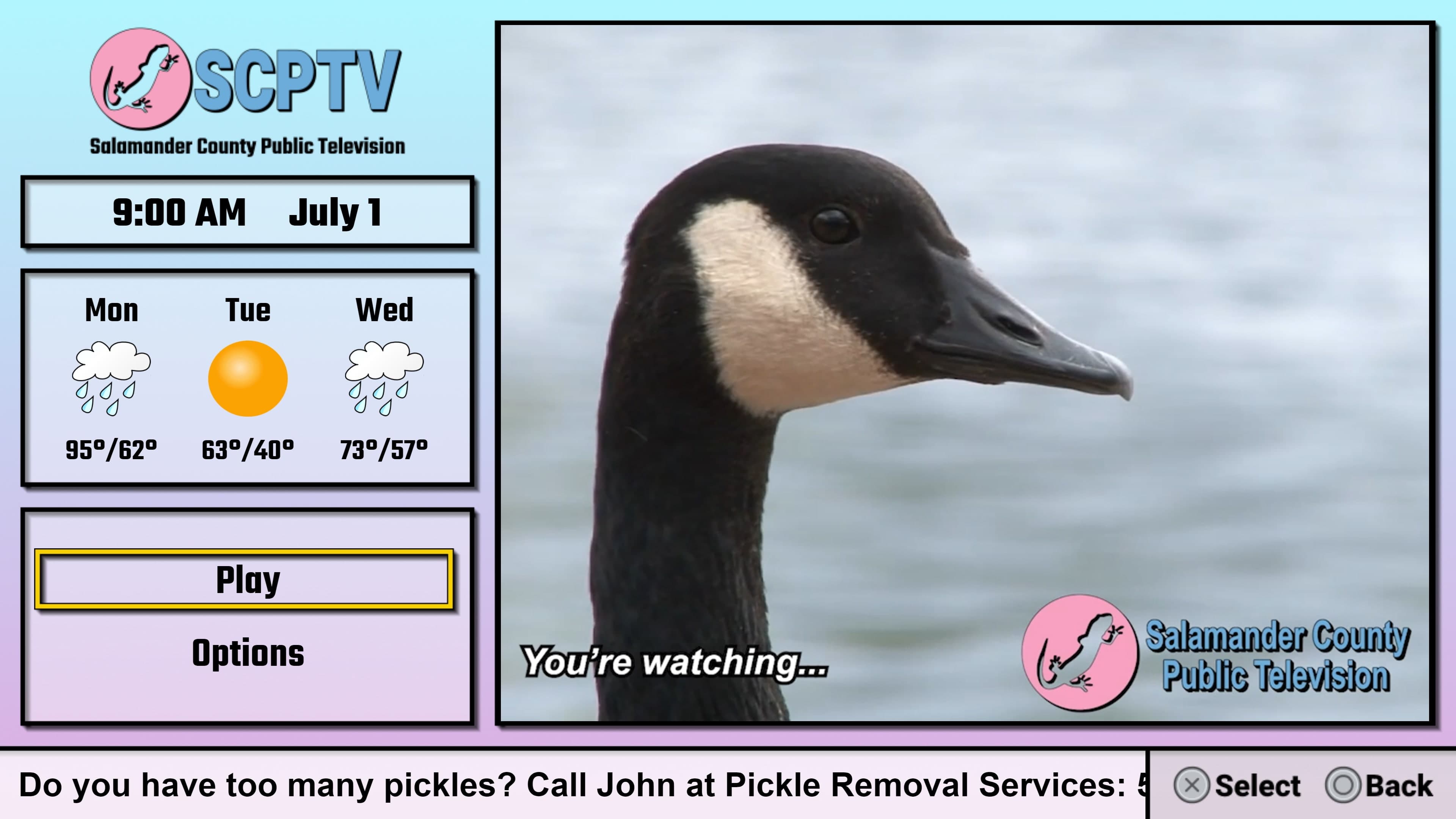 Salamander County Public Television: скриншот 3