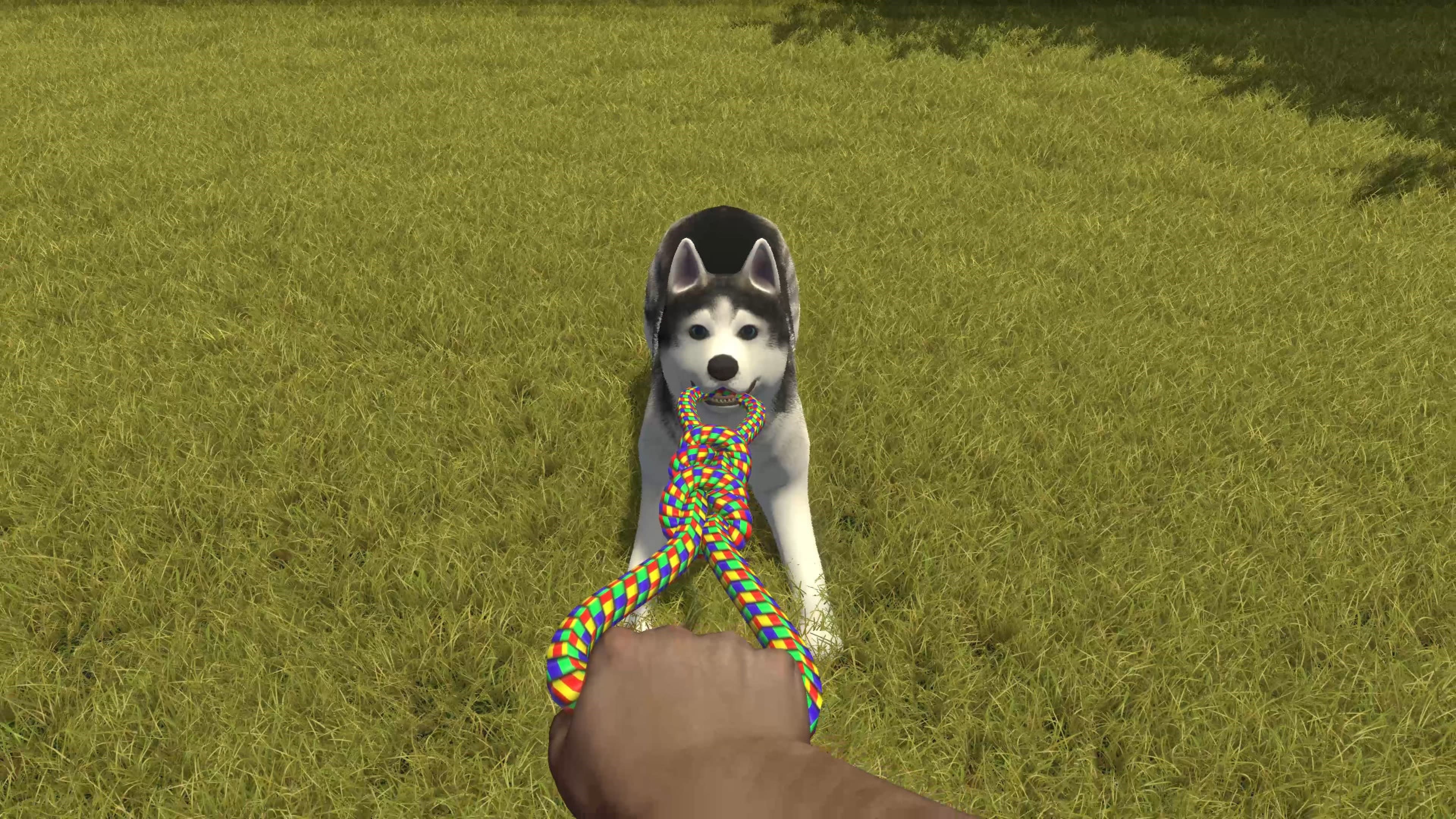 House Flipper - Pets: скриншот 6