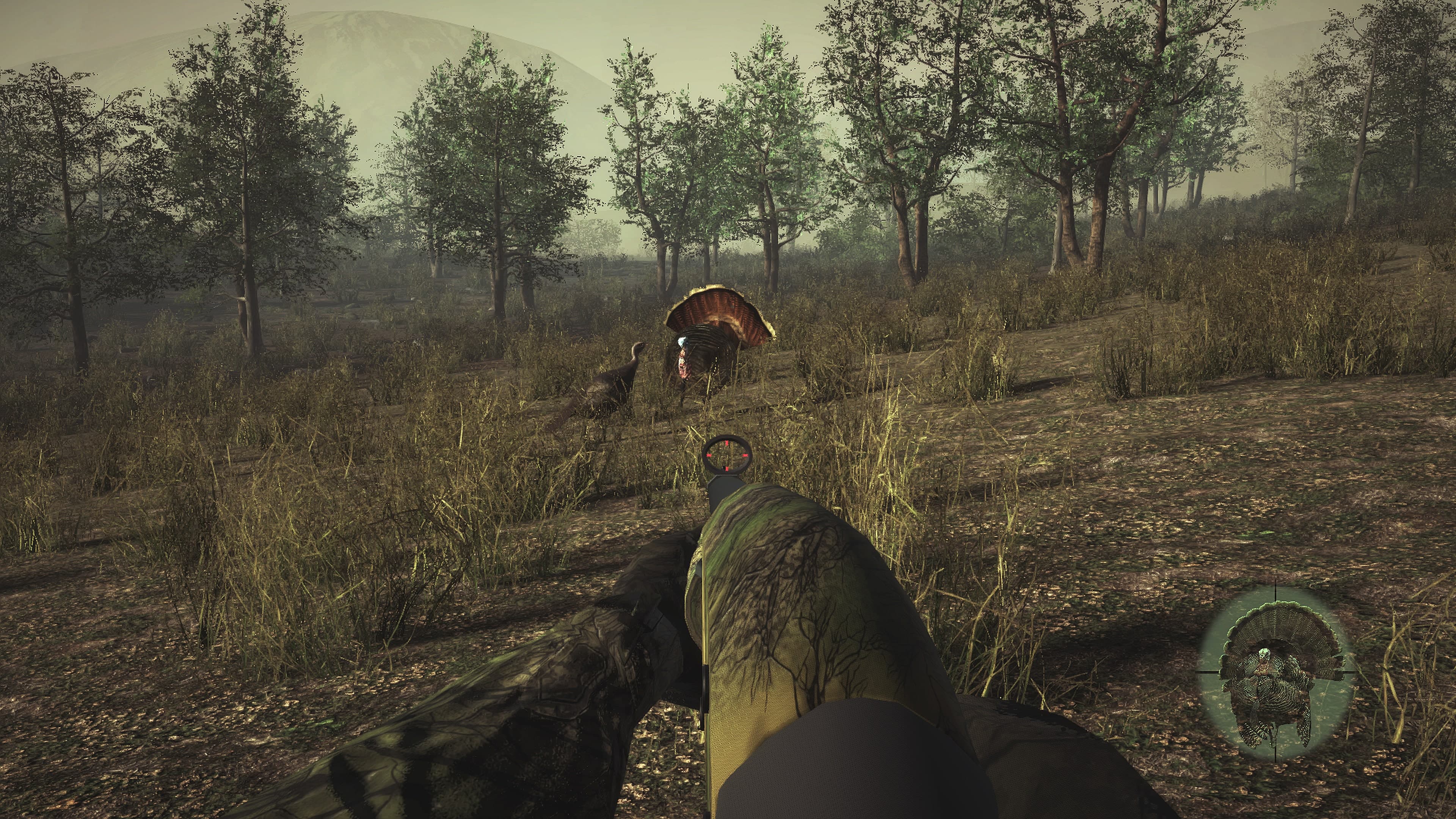 Pro Turkey Hunting: скриншот 7