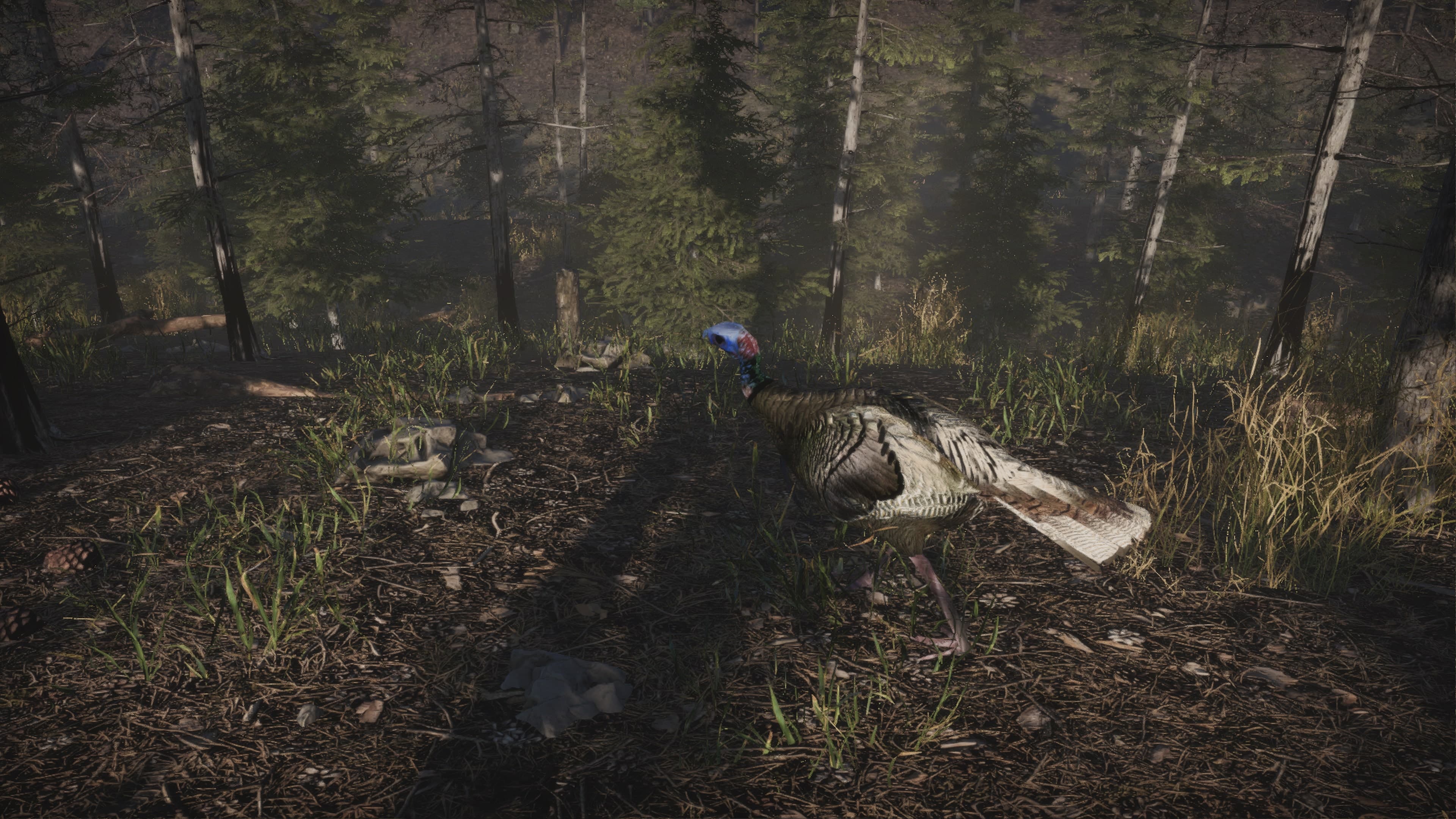 Pro Turkey Hunting: скриншот 4