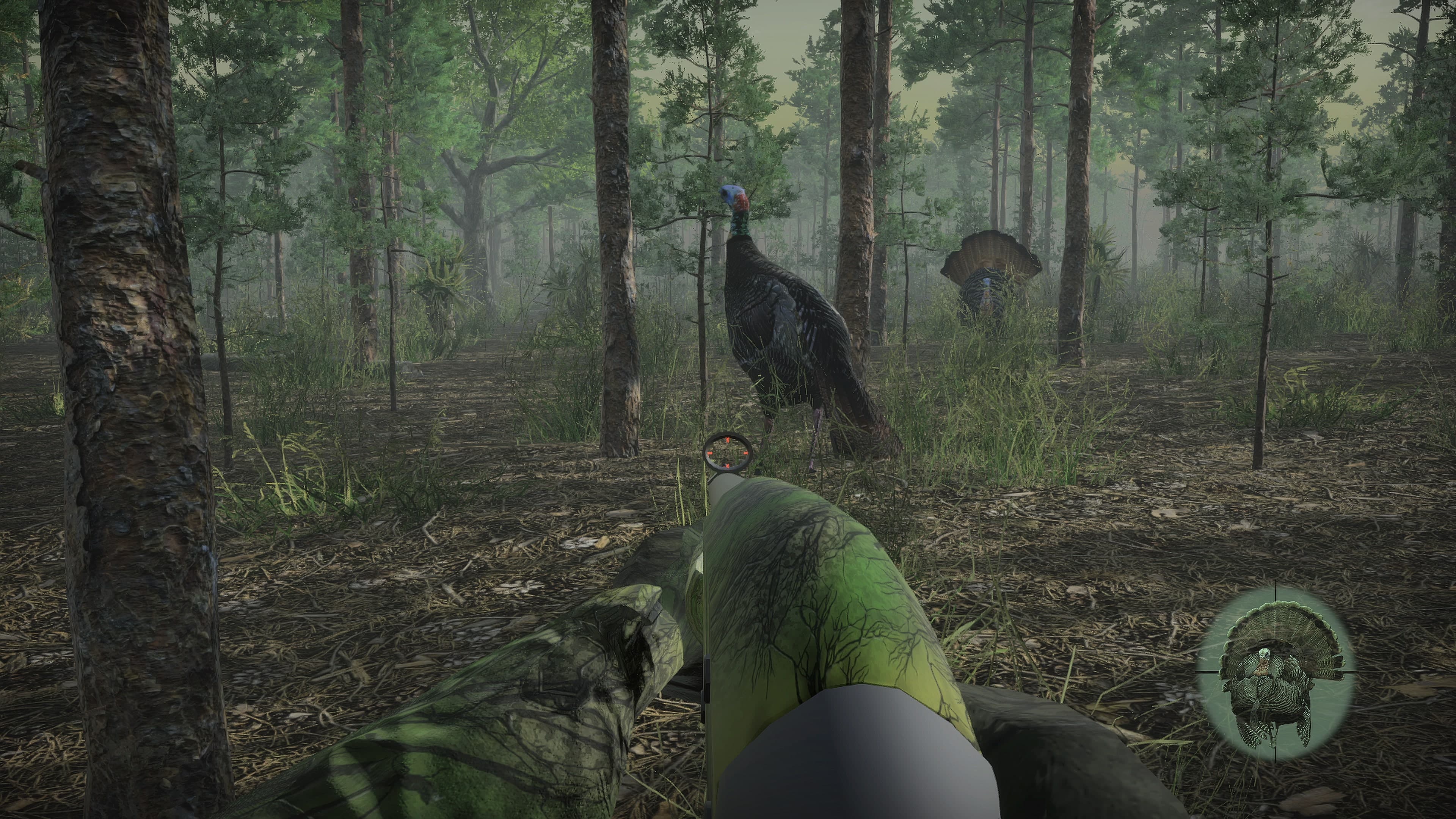 Pro Turkey Hunting: скриншот 8