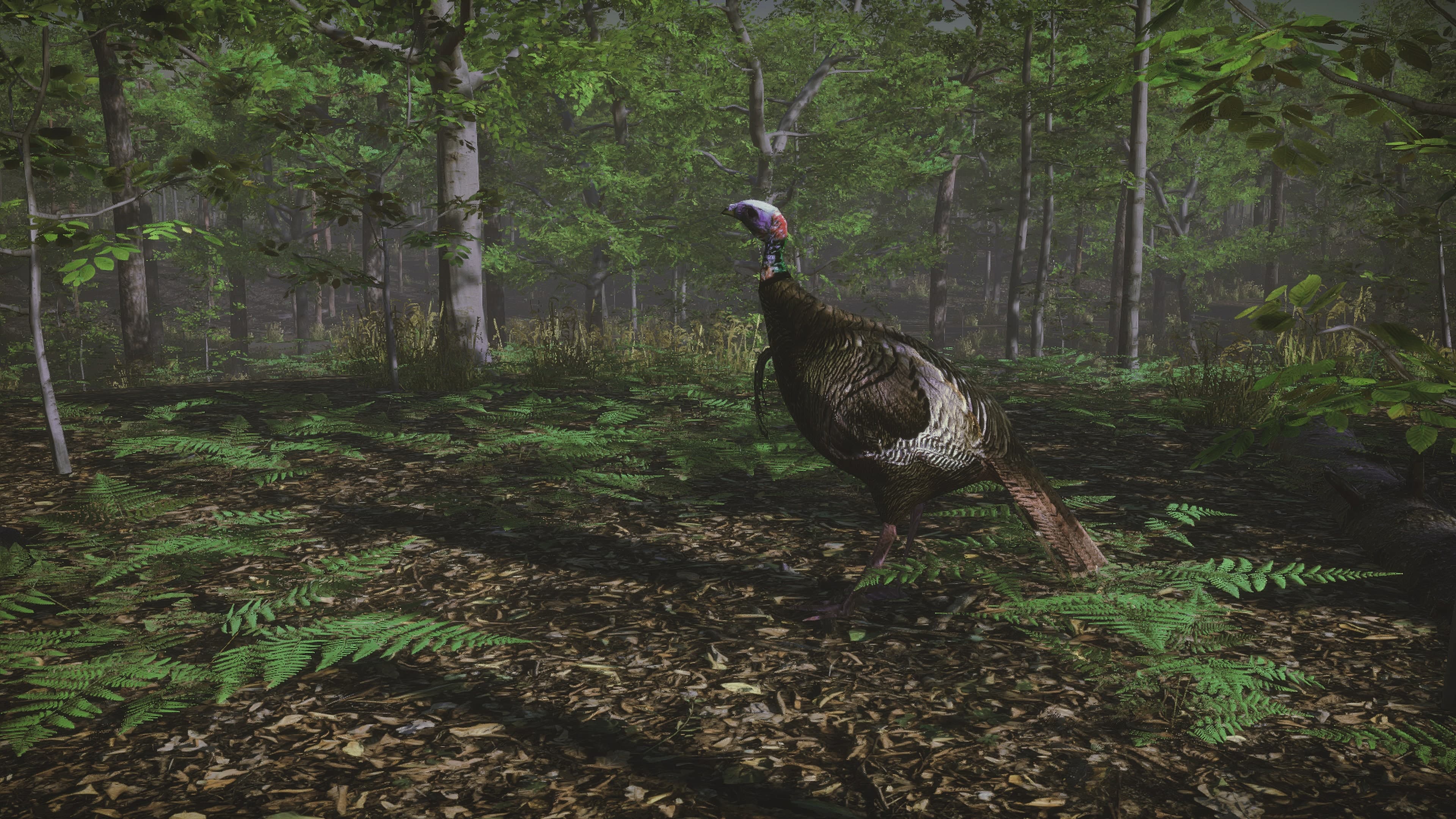 Pro Turkey Hunting: скриншот 1