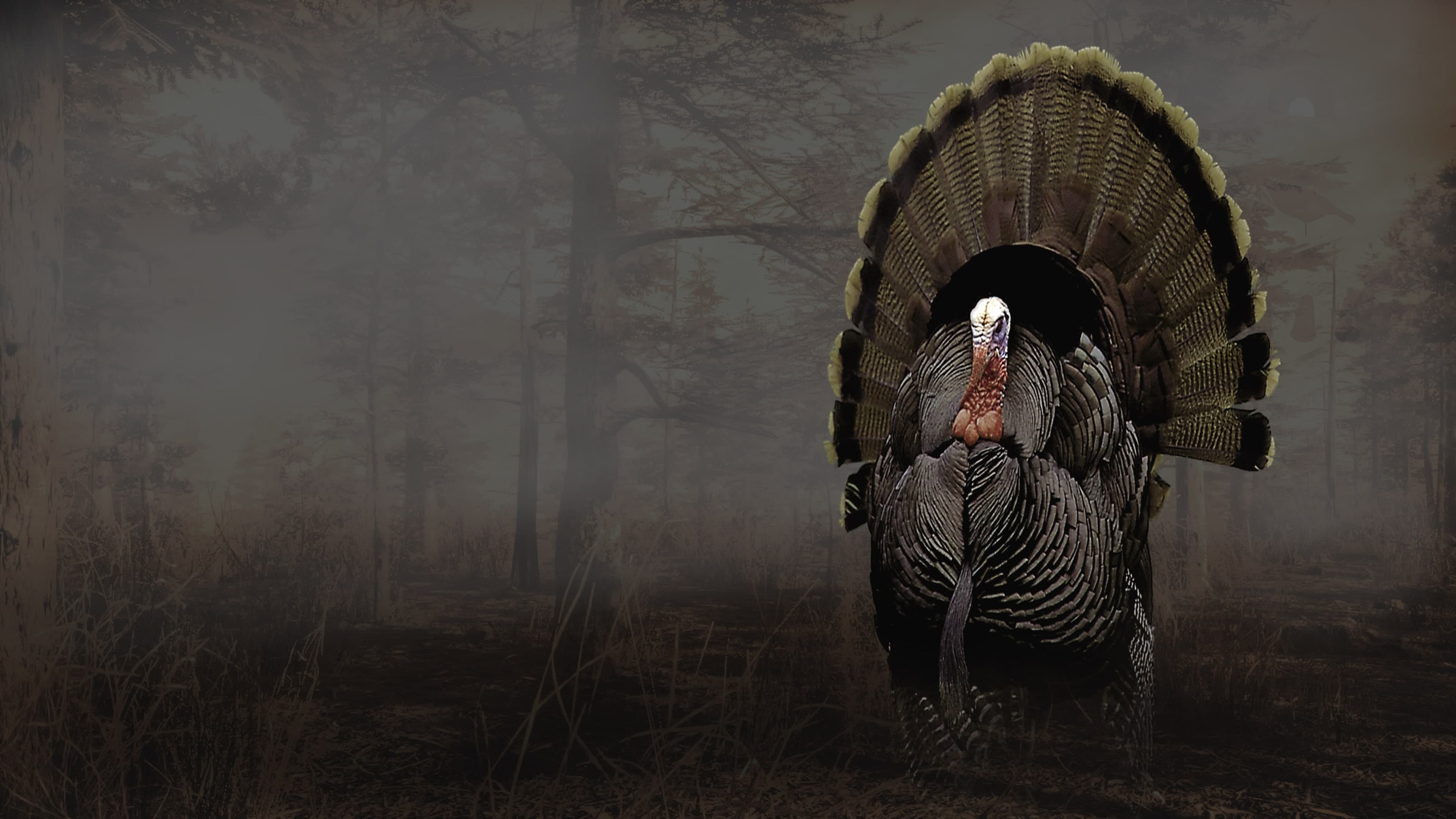 Pro Turkey Hunting Standard