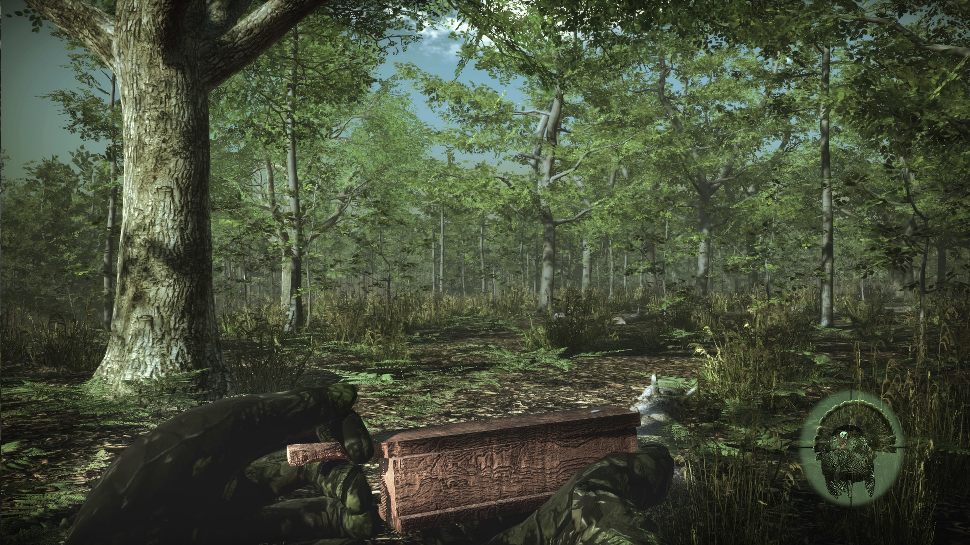 Pro Turkey Hunting: скриншот 3