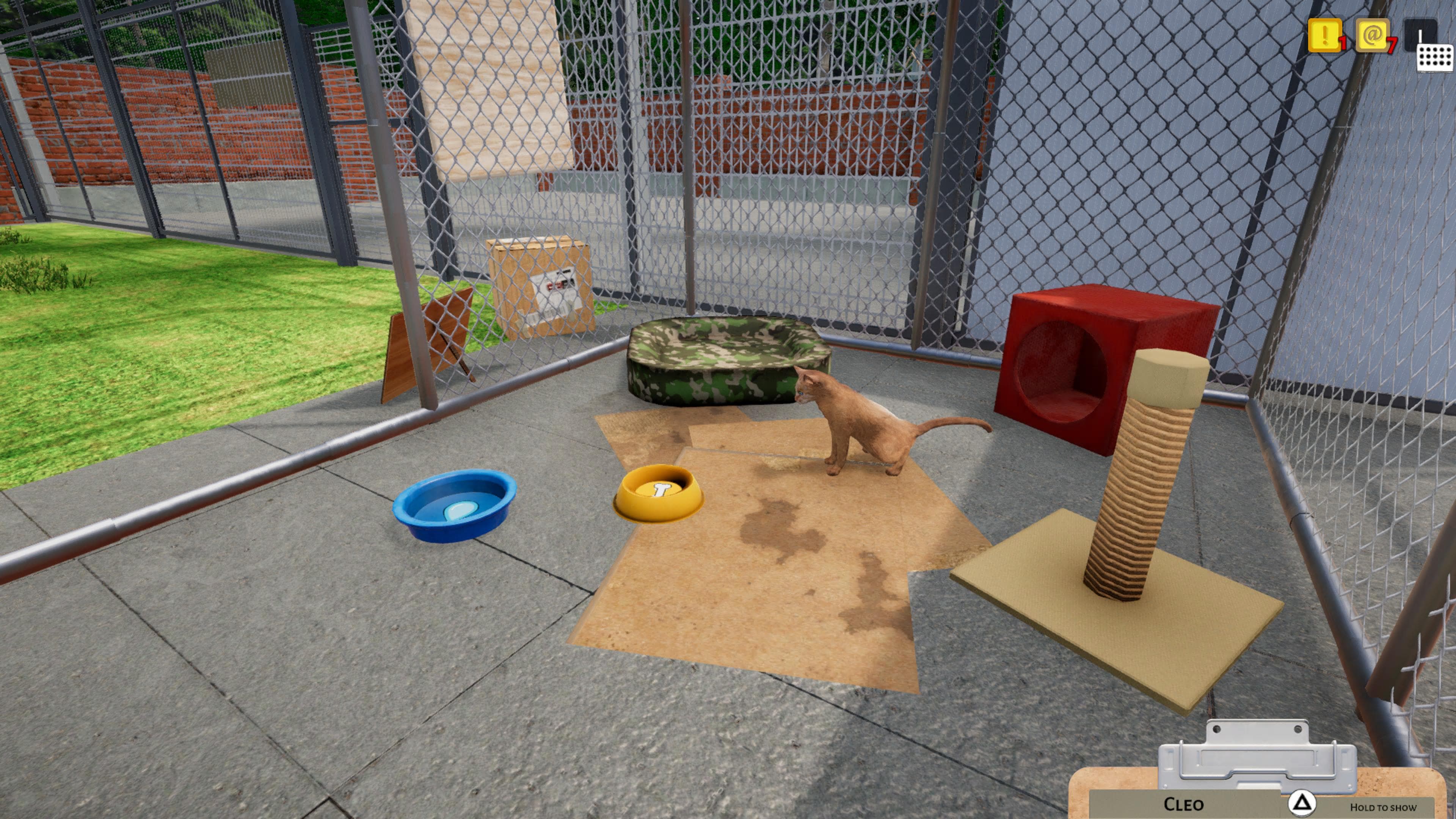 Animal Shelter: скриншот 1