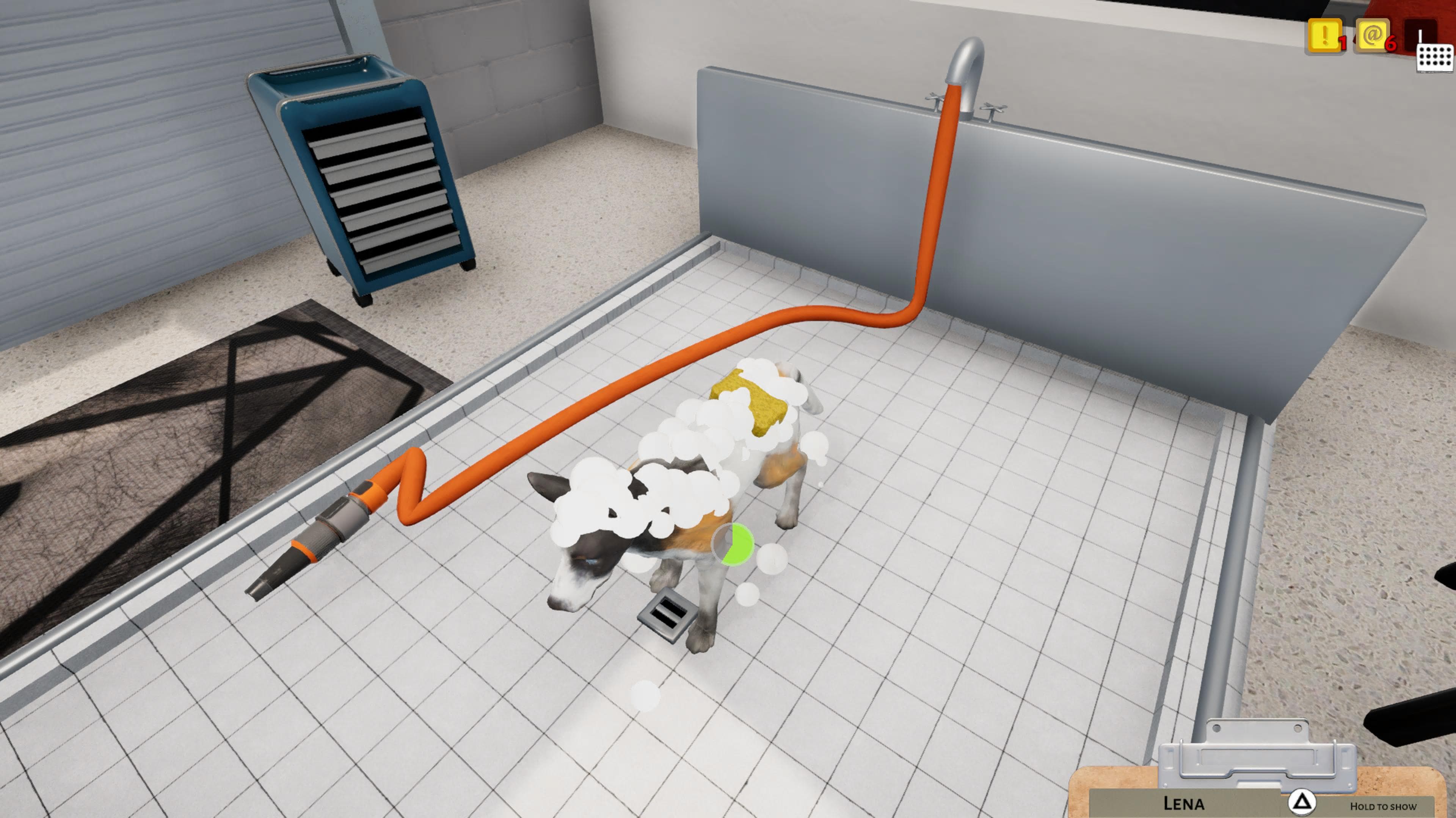 Animal Shelter: скриншот 8