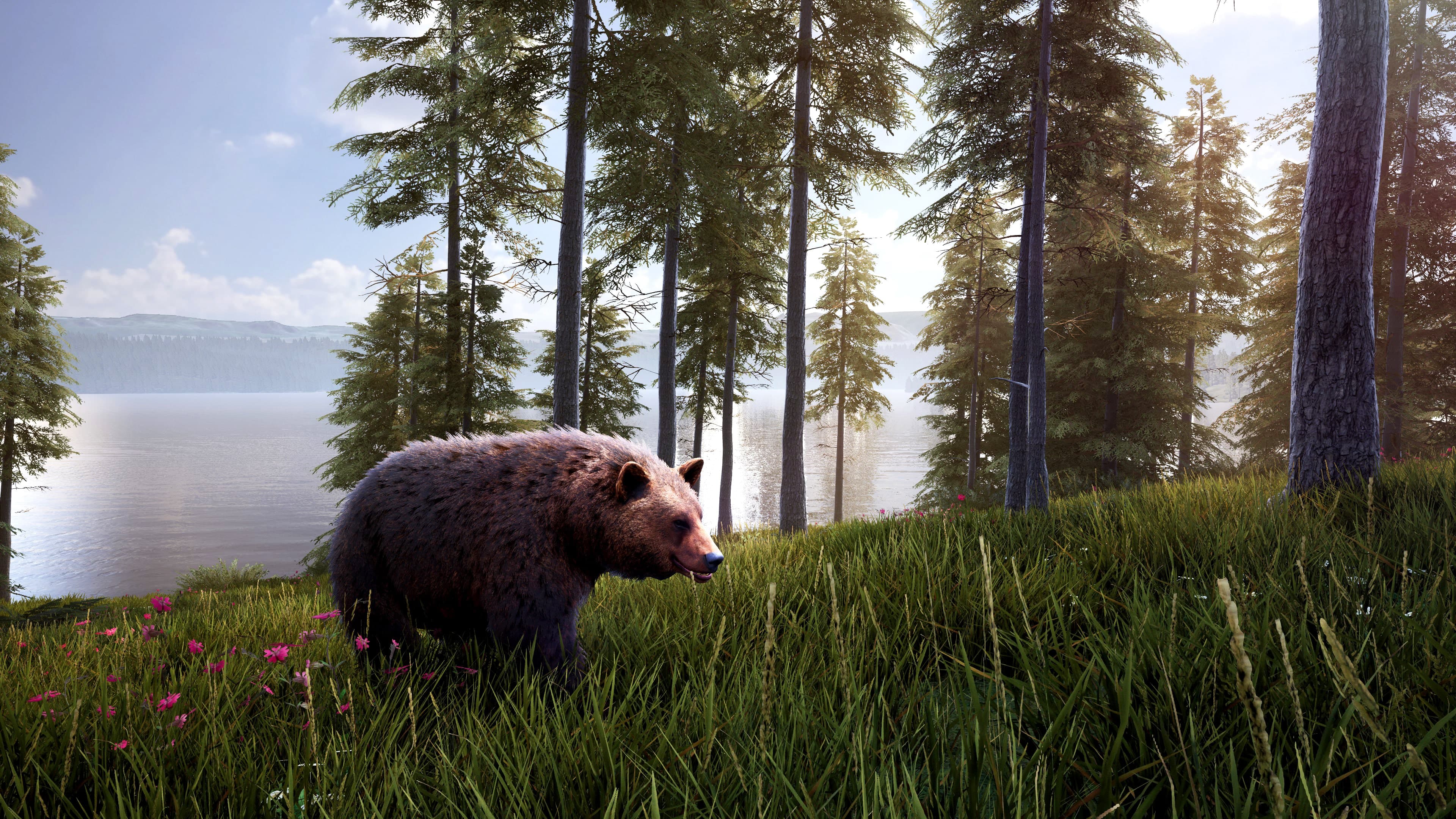 Hunting Simulator 2 Bear Hunter Pack: скриншот 4