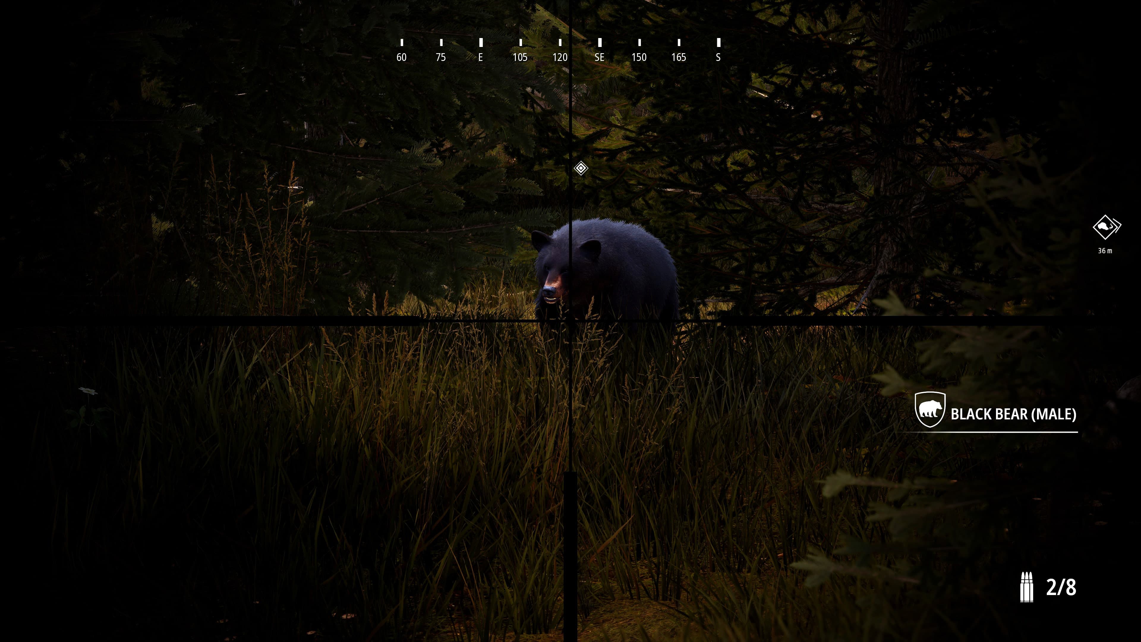 Hunting Simulator 2 Bear Hunter Pack: скриншот 6