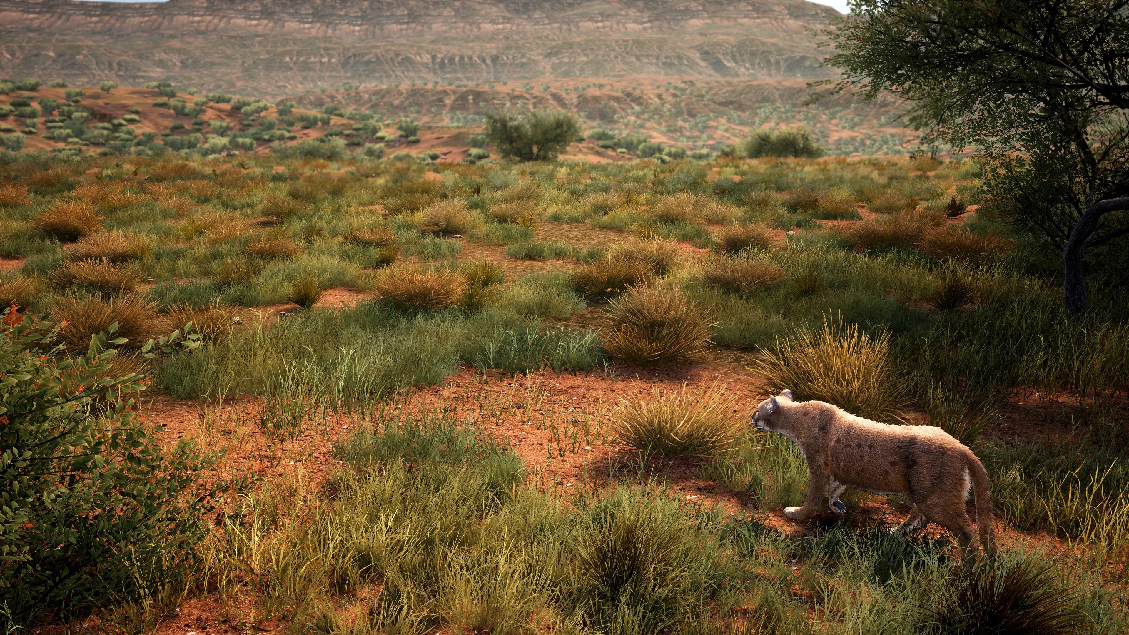 Hunting Simulator 2 Bear Hunter Pack: скриншот 8