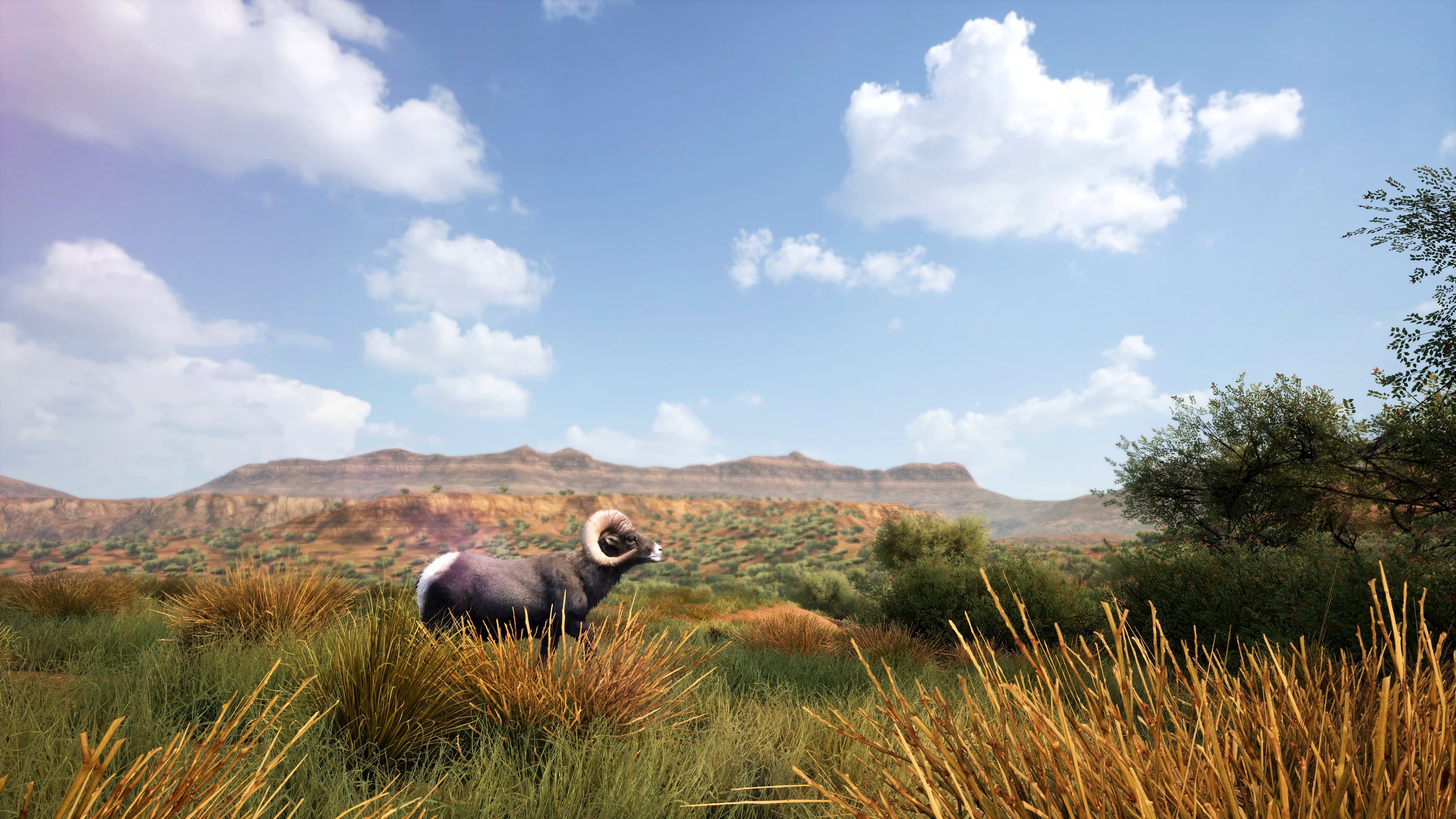Hunting Simulator 2: скриншот 7