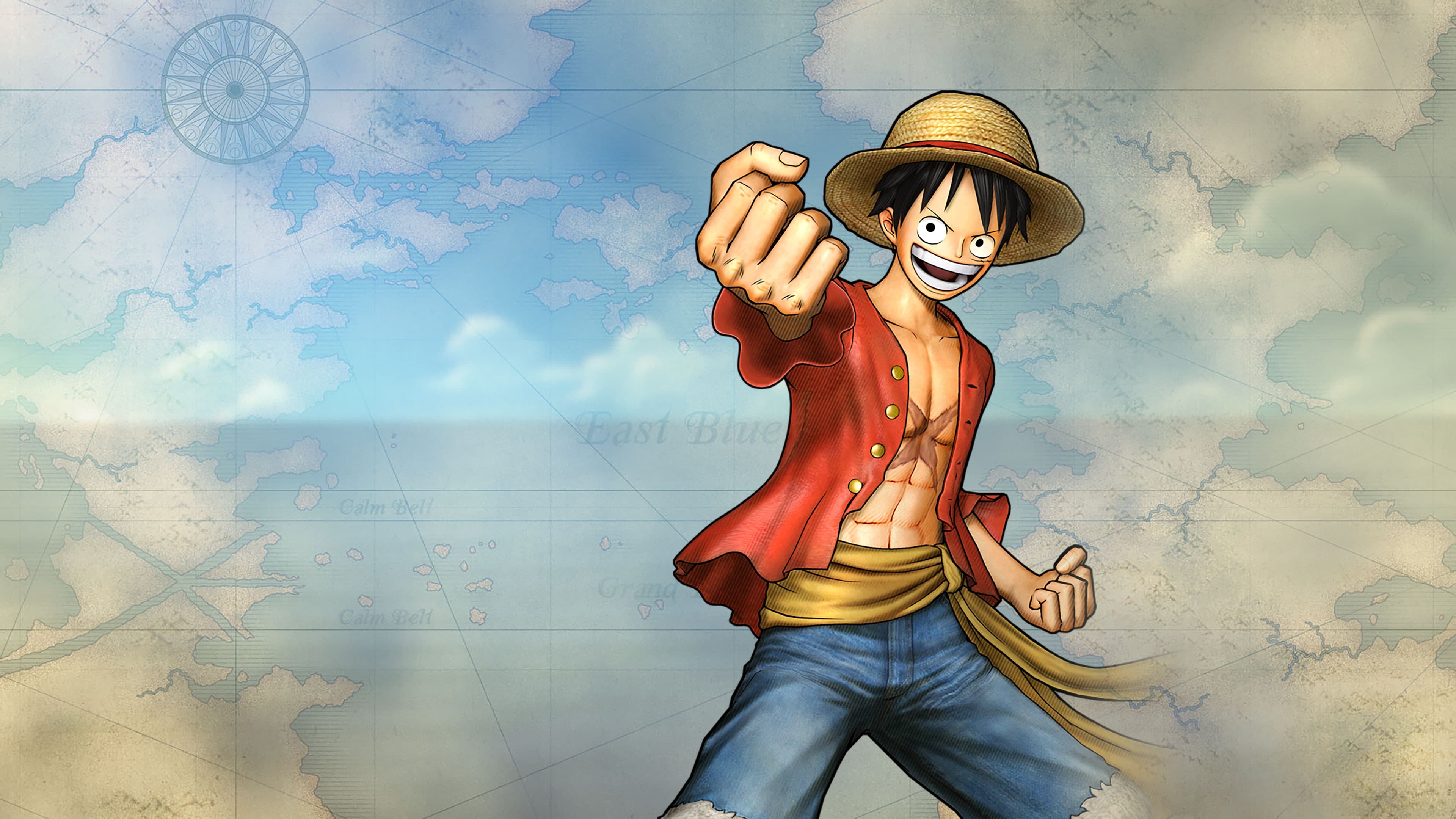 One Piece Pirate Warriors 3 Standard