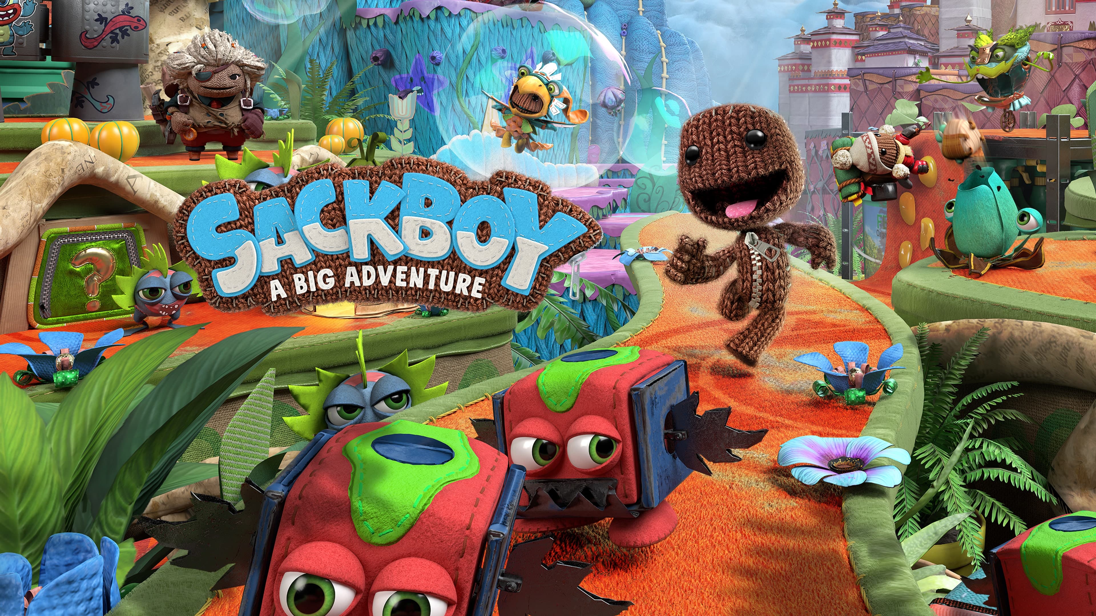 Sackboy: A Big Adventure Standard