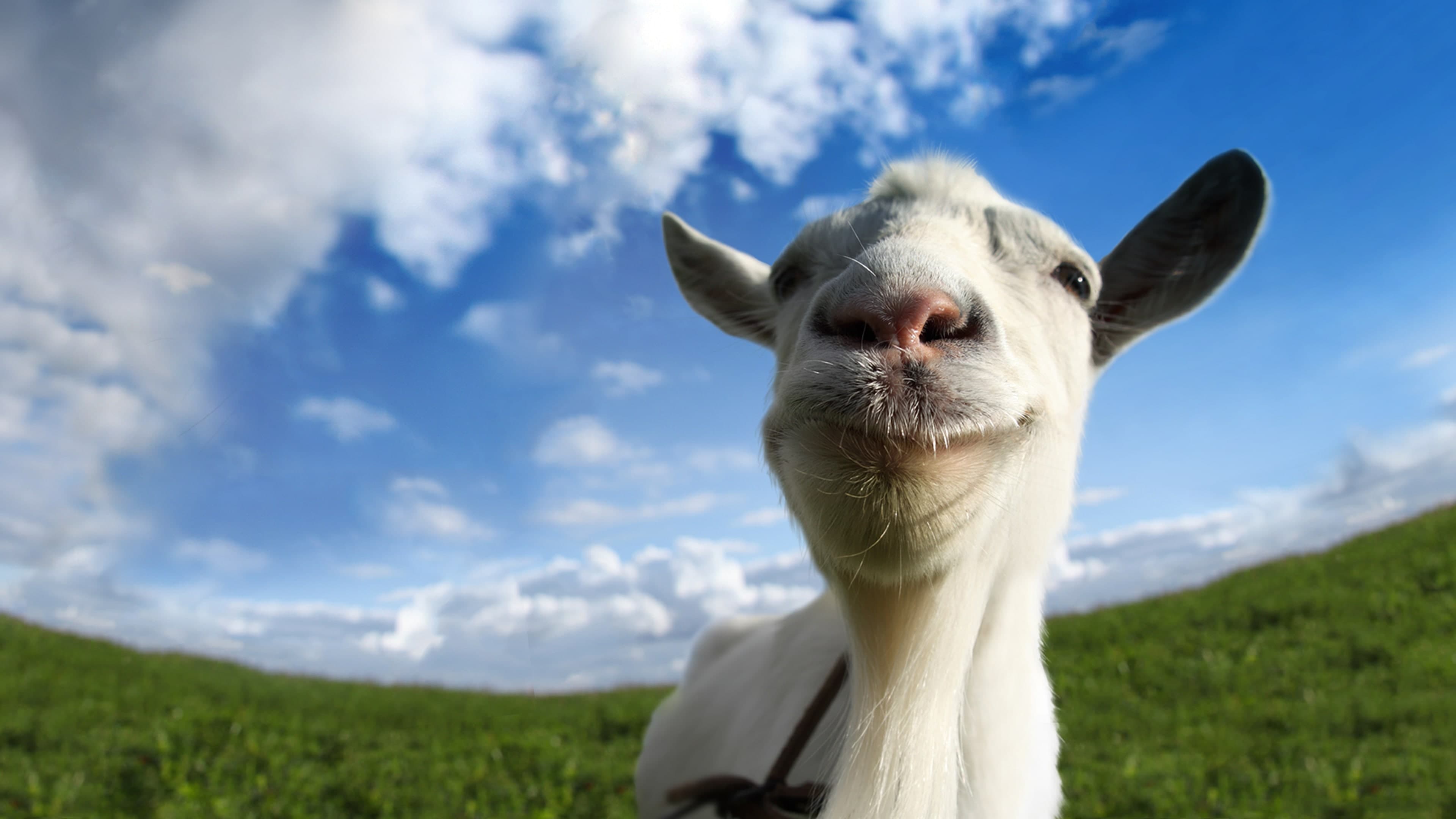 Goat Simulator Standard
