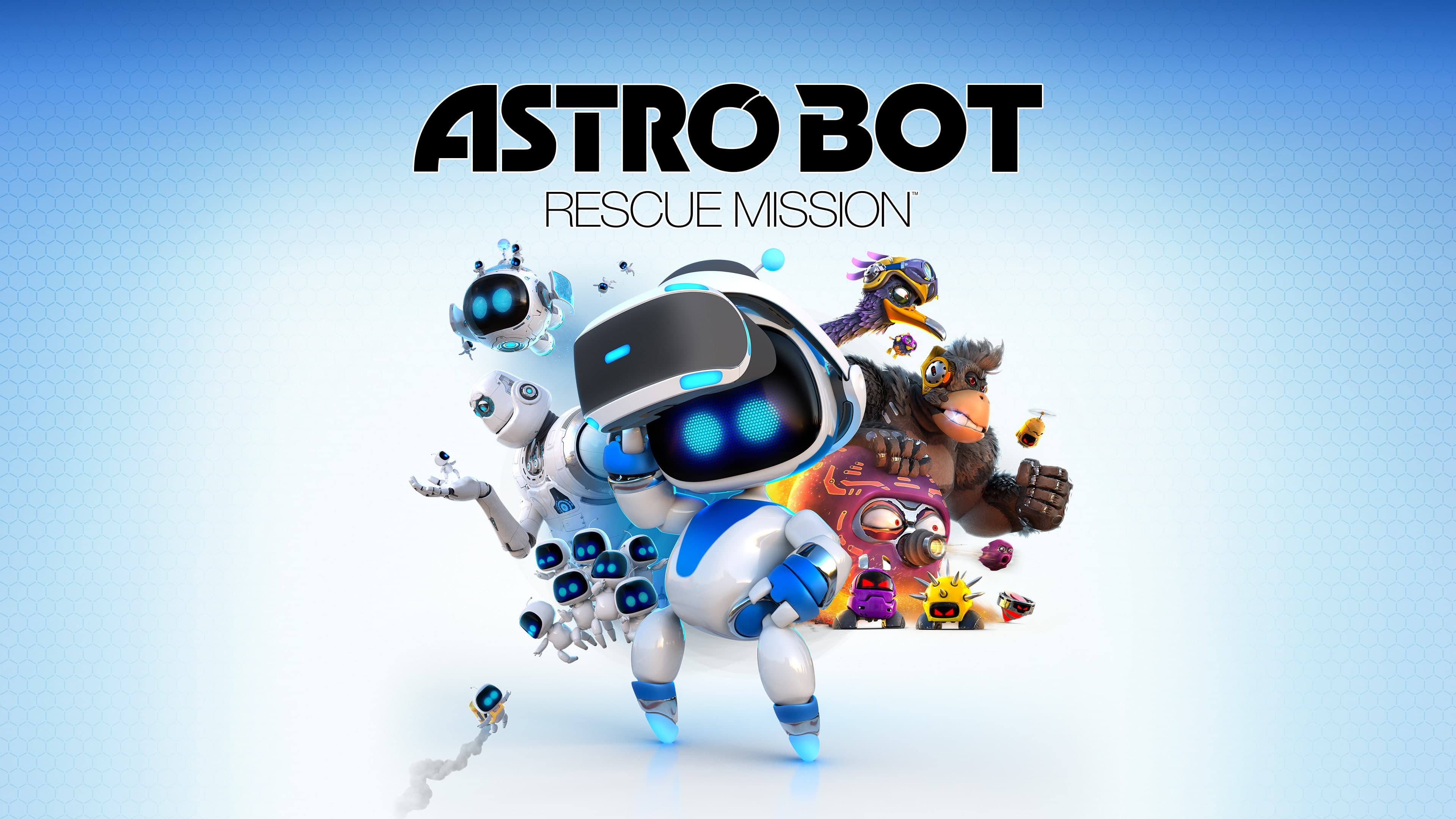 ASTRO BOT Rescue Mission Standard