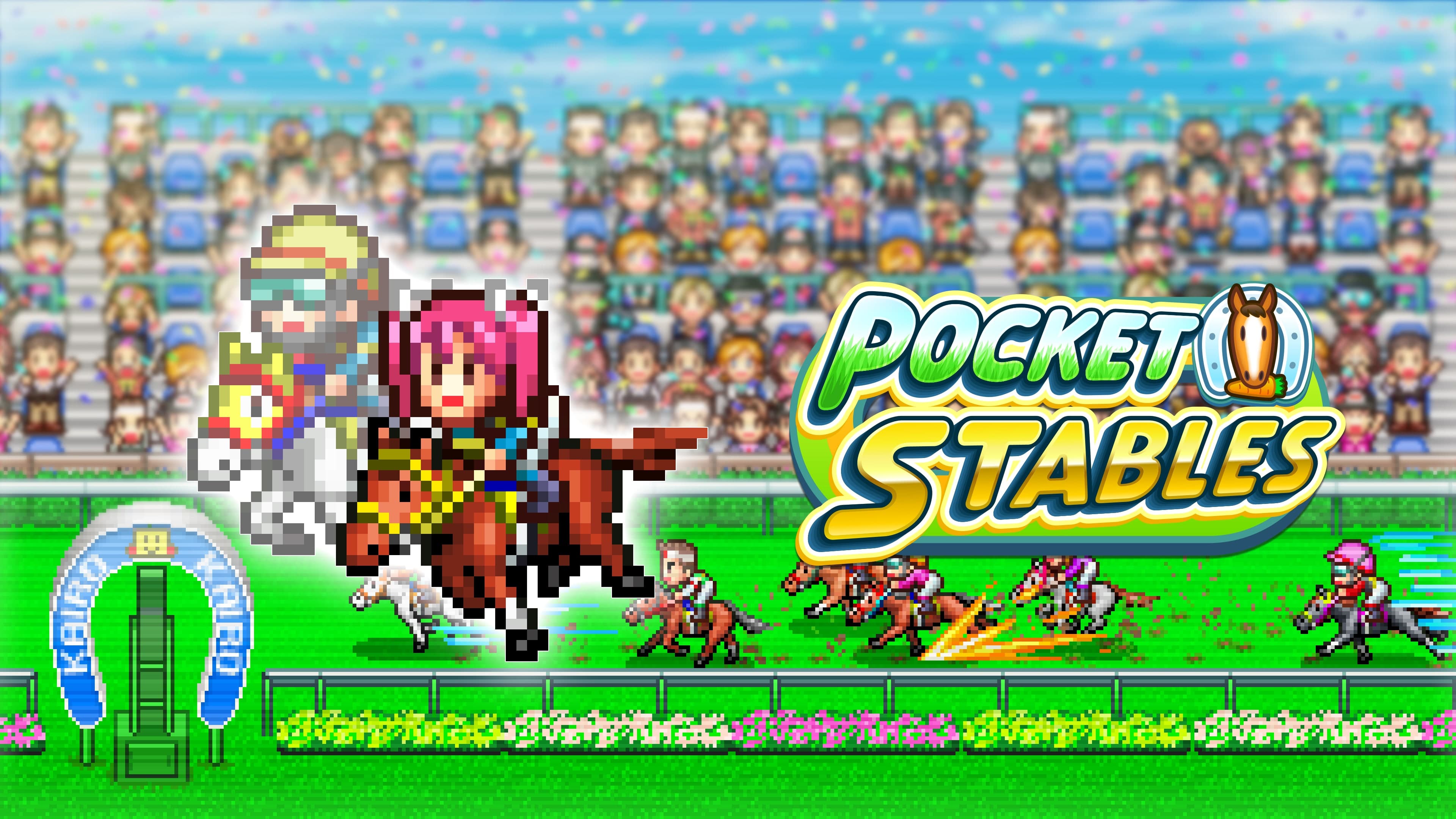 Pocket Stables Standard