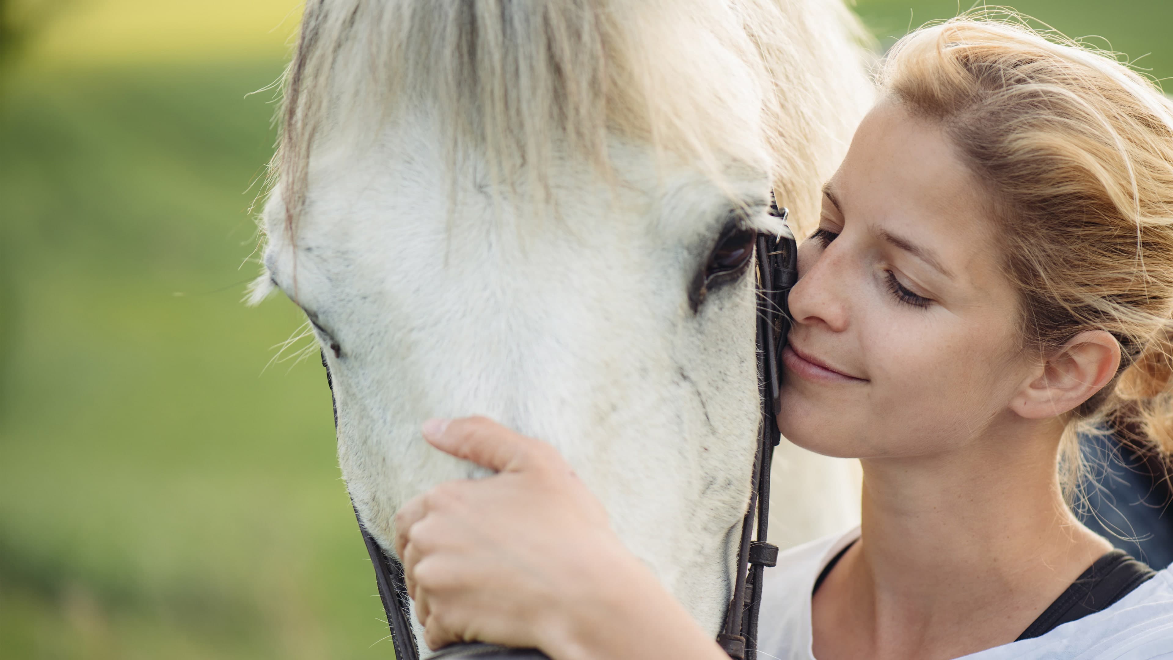 My Riding Stables 2: A New Adventure Standard