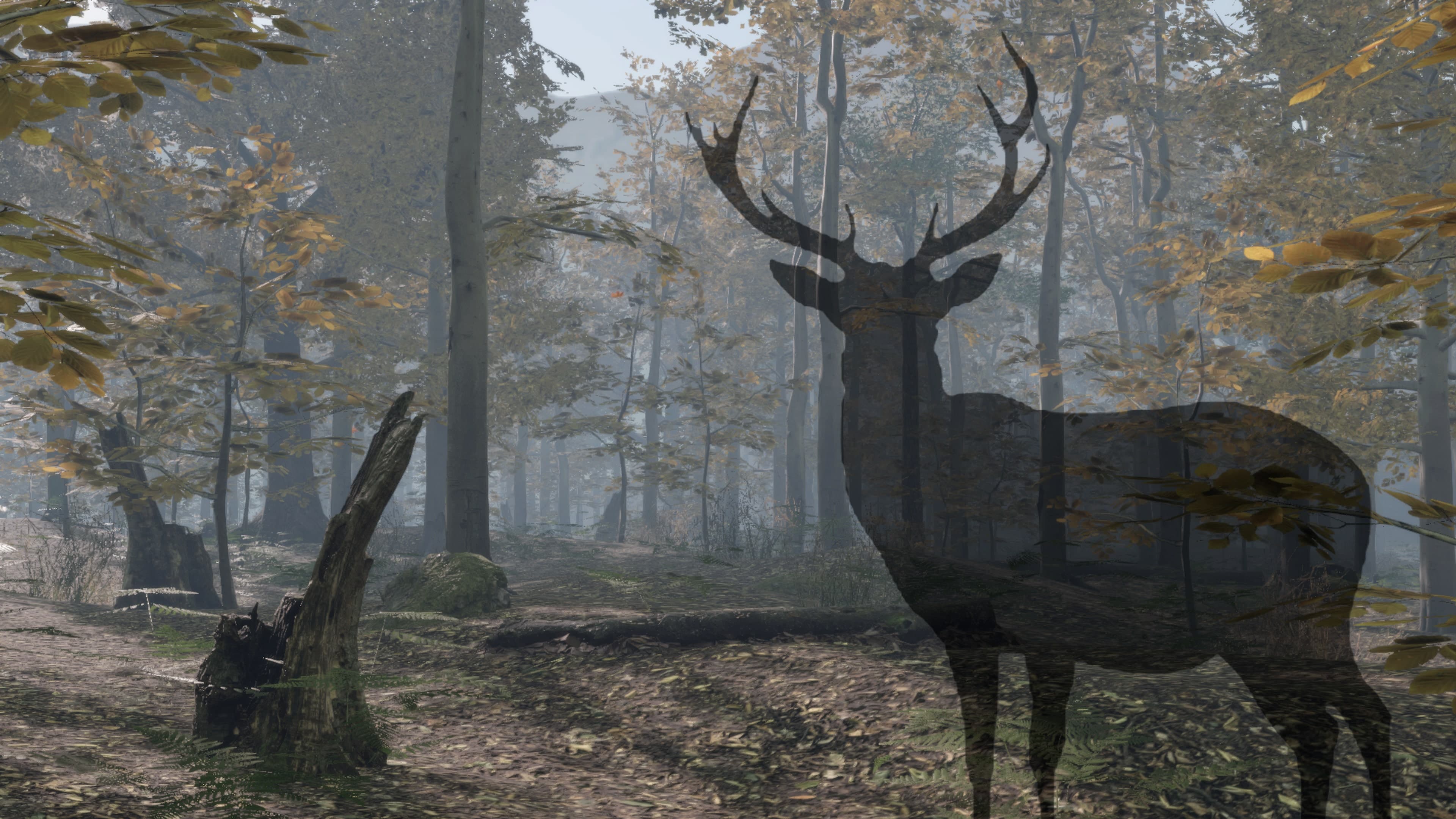 Pro Deer Hunting 2 Standard