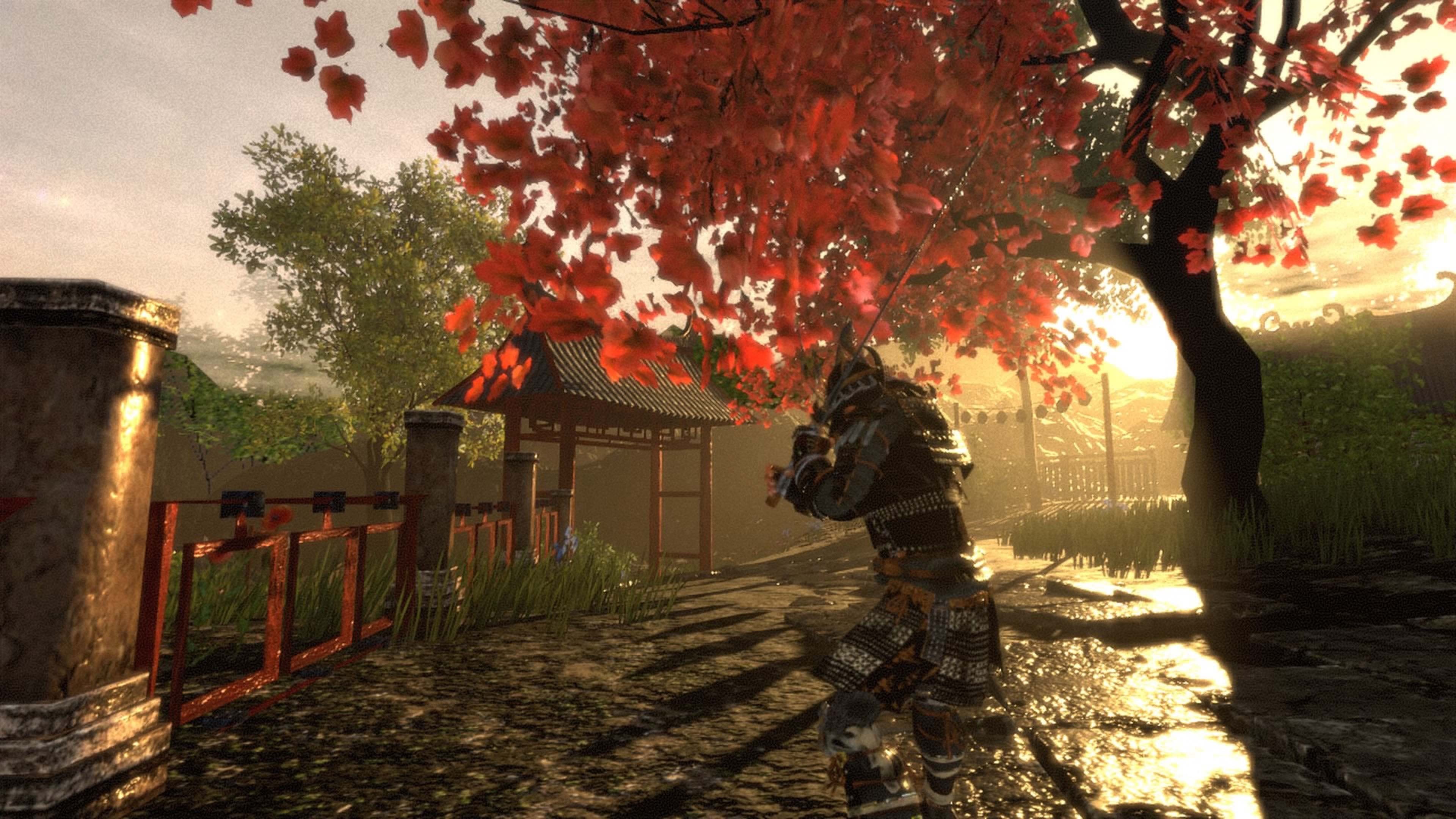 Shadow the Ronin: The Revenge to the Samurai Standard