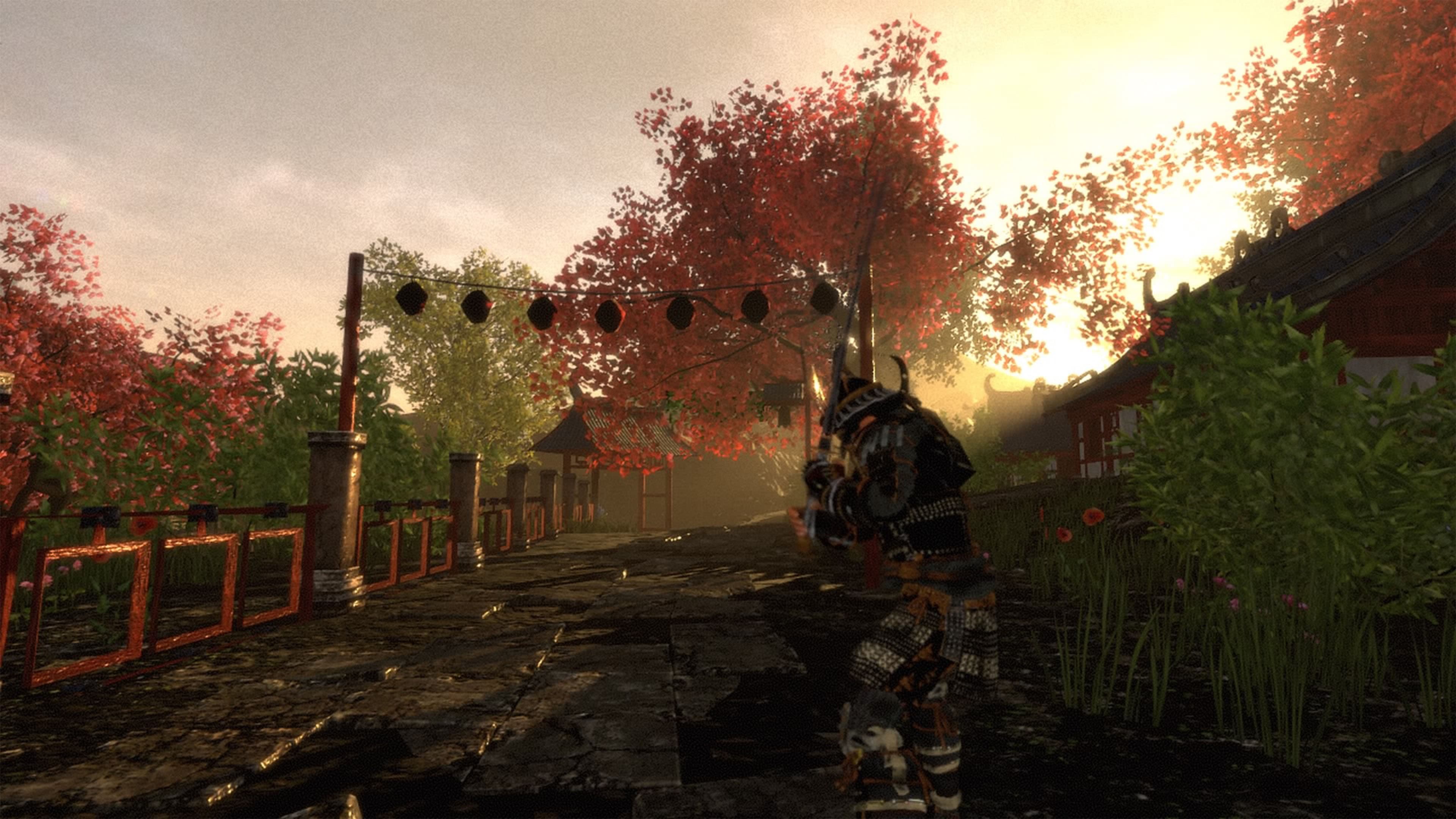 Shadow the Ronin: The Revenge to the Samurai: скриншот 9