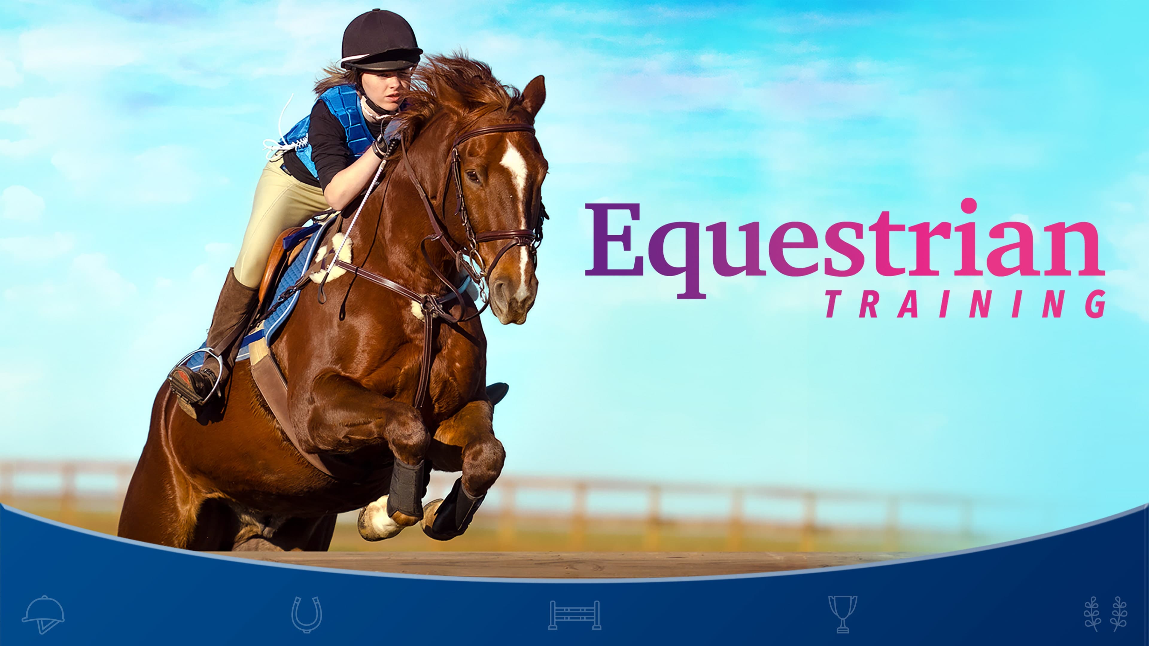 Equestrian Training Standard