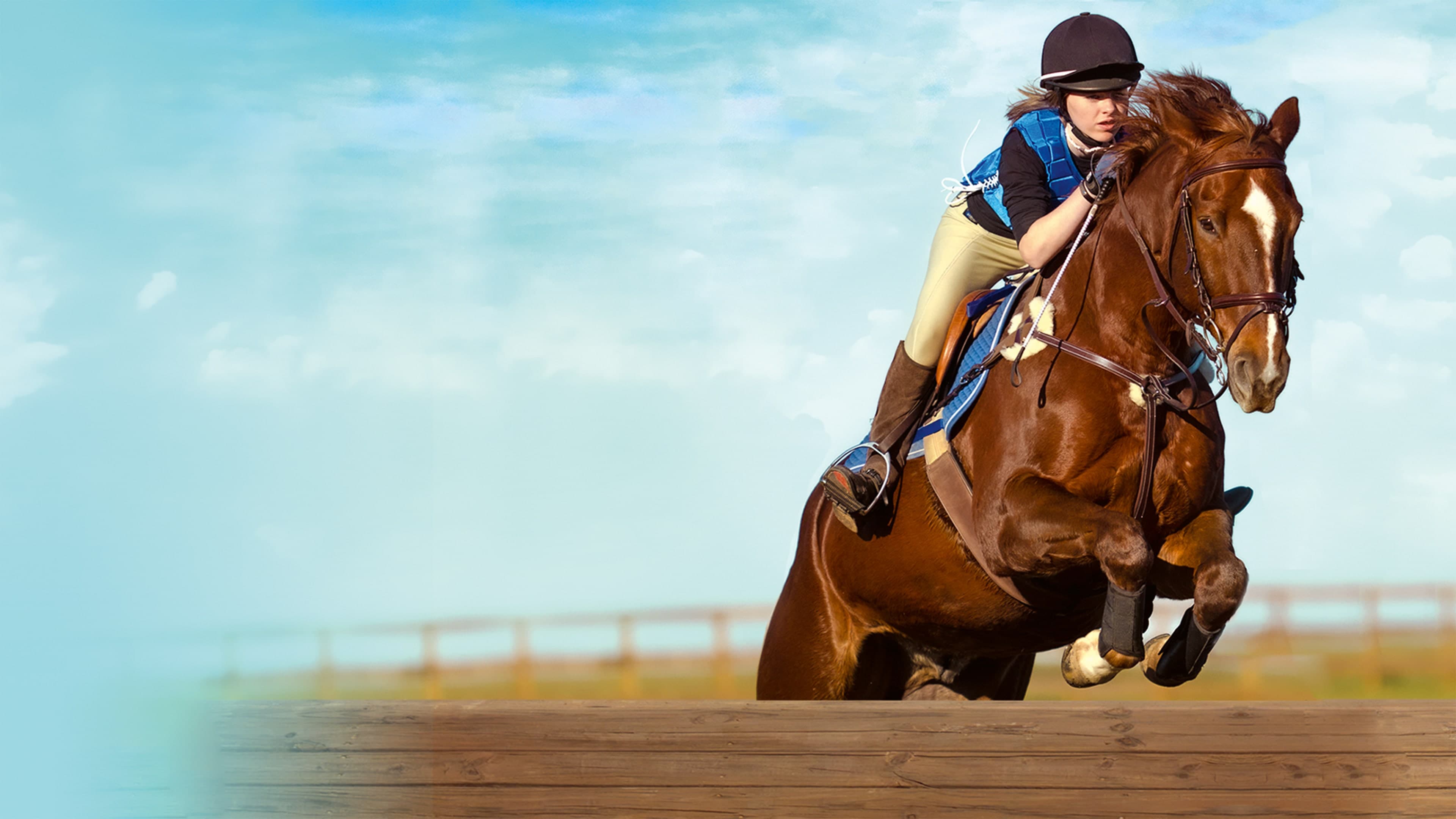 Equestrian Training Standard