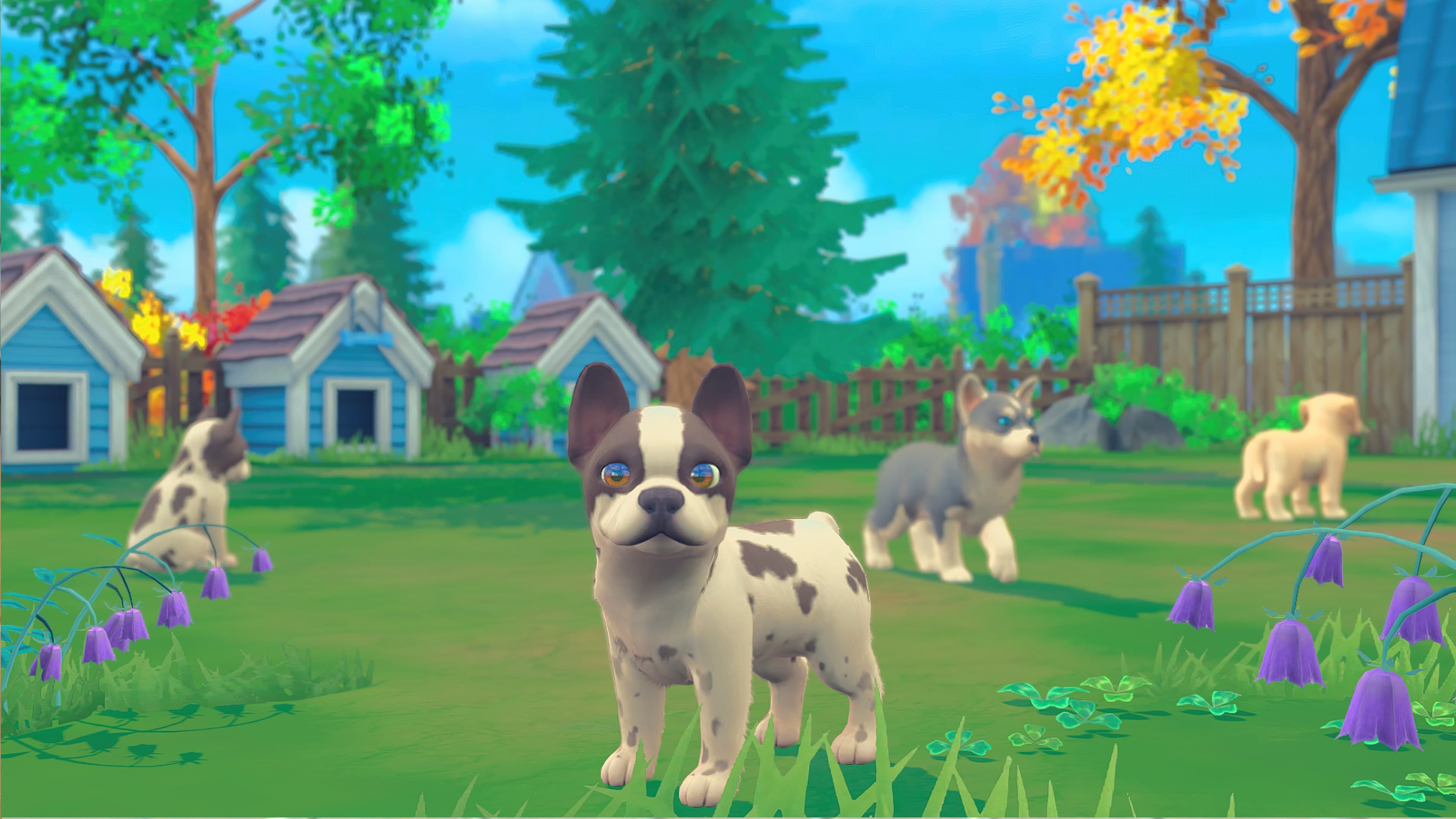 My Universe - Puppies Kittens: скриншот 2