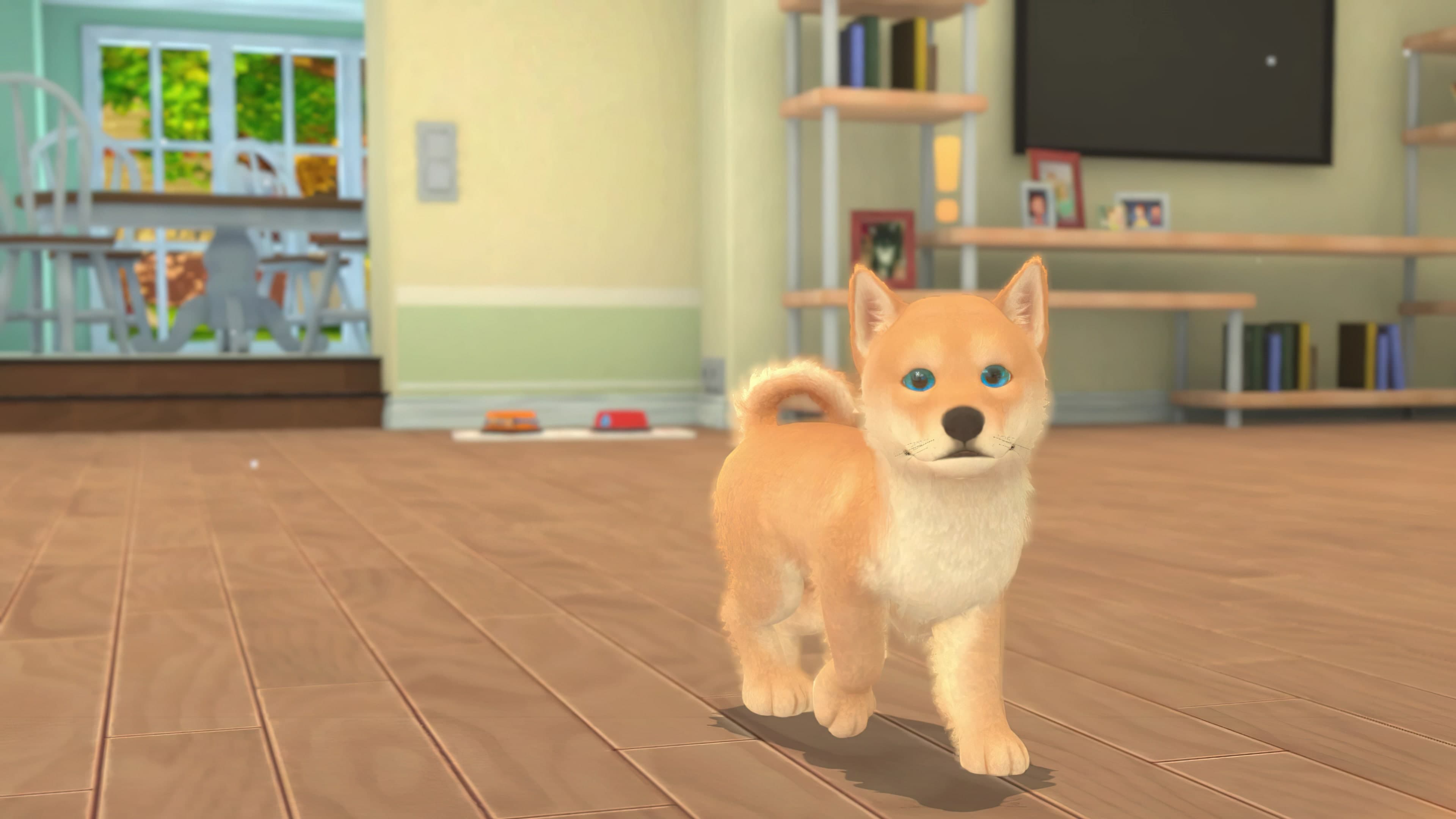 My Universe - Puppies Kittens: скриншот 3