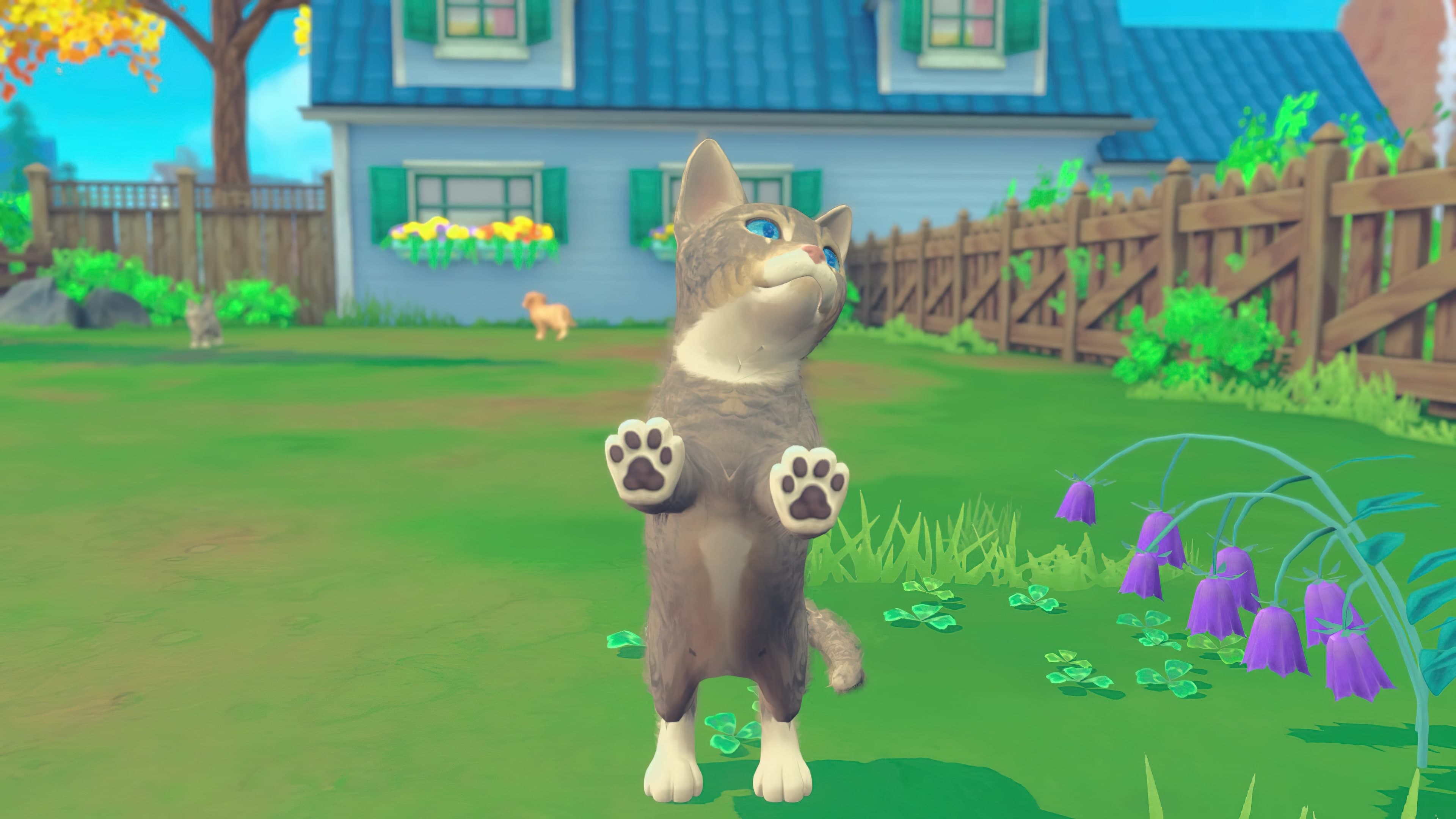 My Universe - Puppies Kittens: скриншот 5