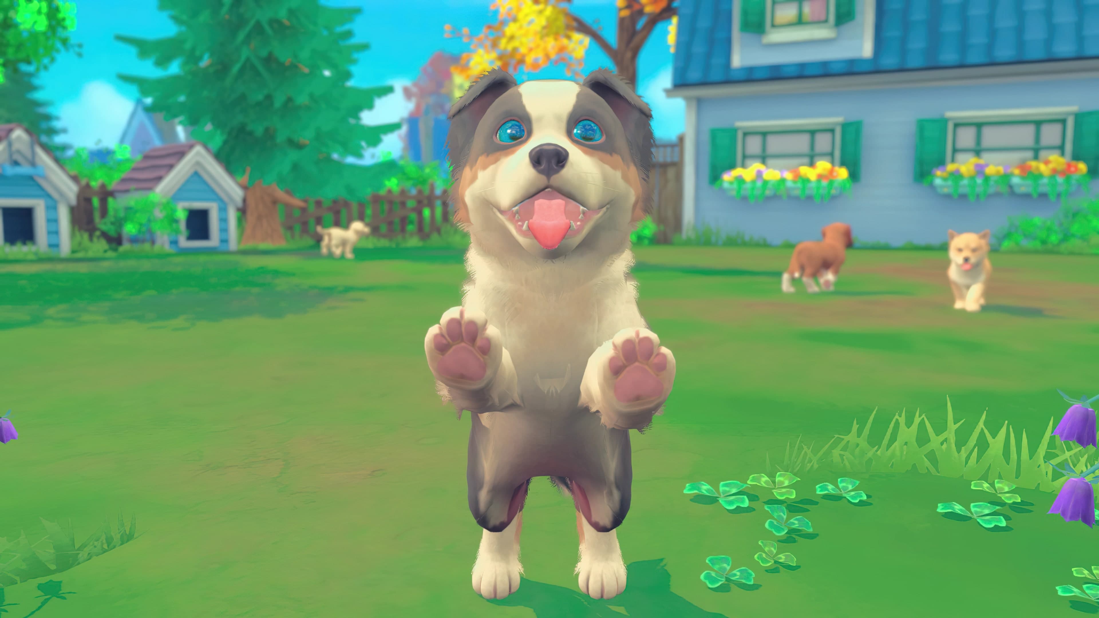 My Universe - Puppies Kittens: скриншот 4